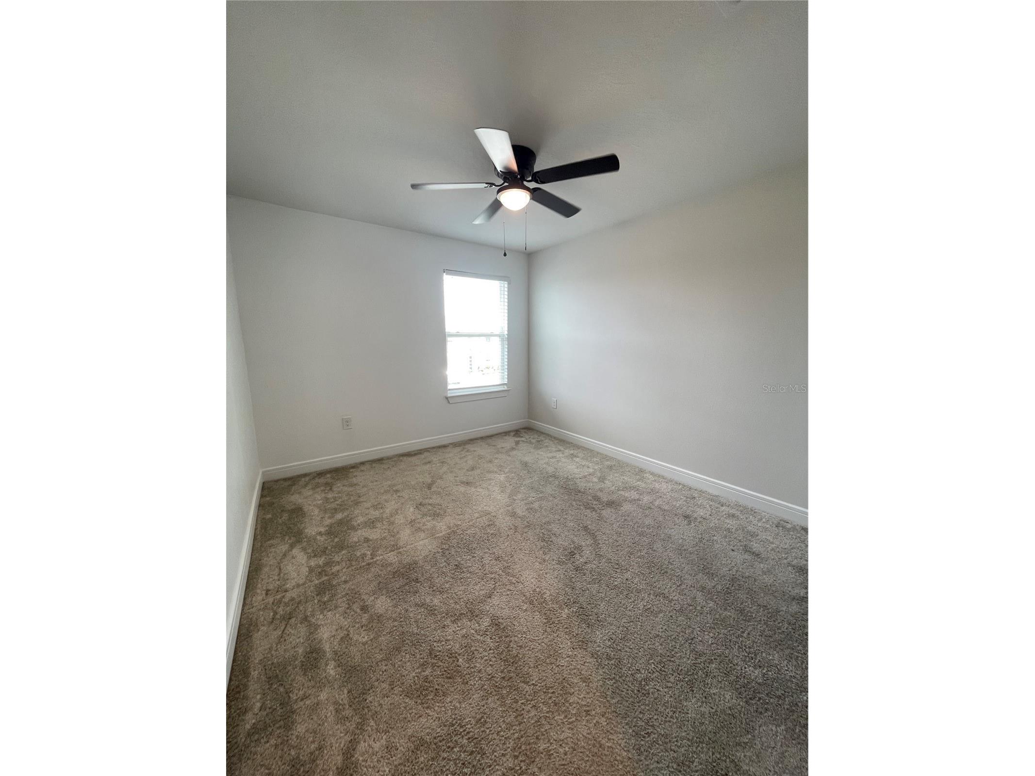 30555 Thunderbird Drive Wesley Chapel FL 33545 TB8513441 image22