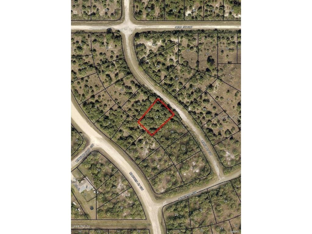 3056 Libby Avenue SW Palm Bay FL 32908 OM674576 image1
