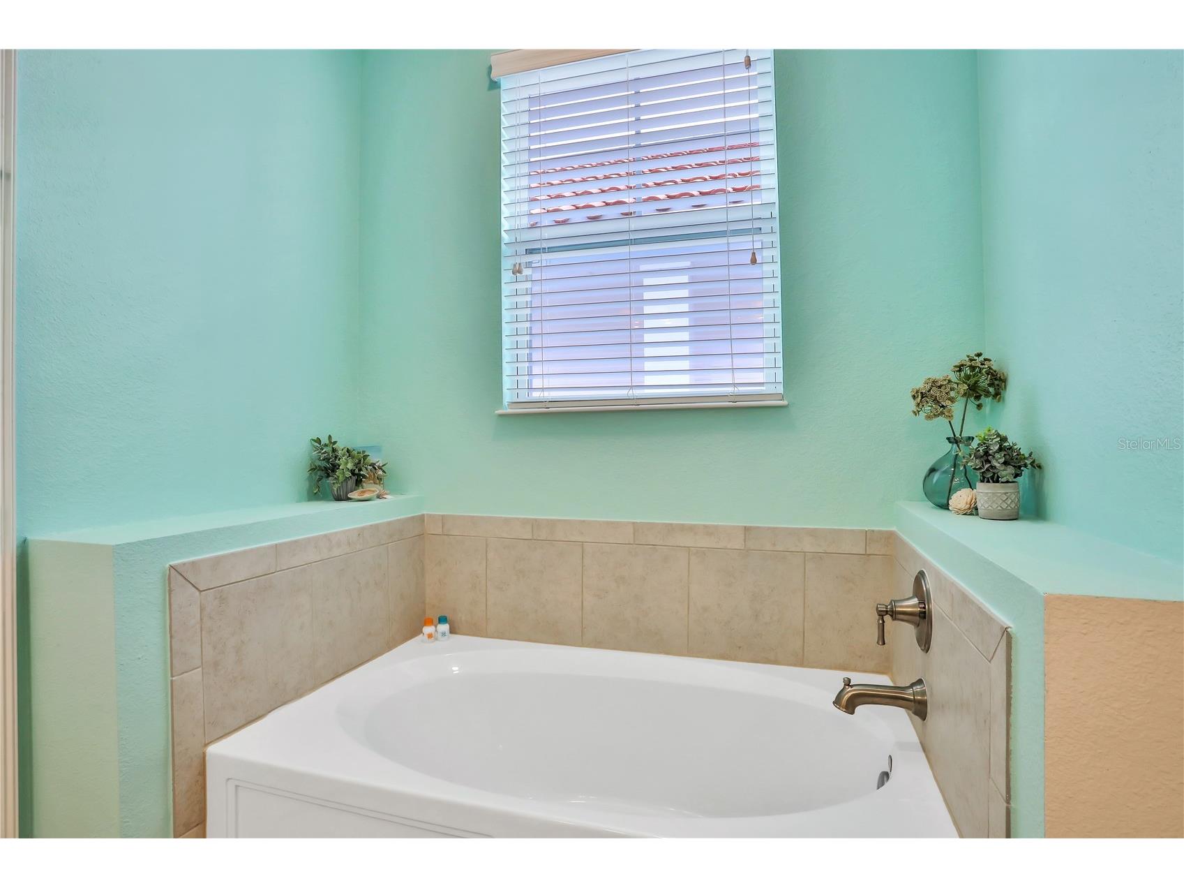 3056 Parrot Head Place Kissimmee FL 34747 O6265271 image20