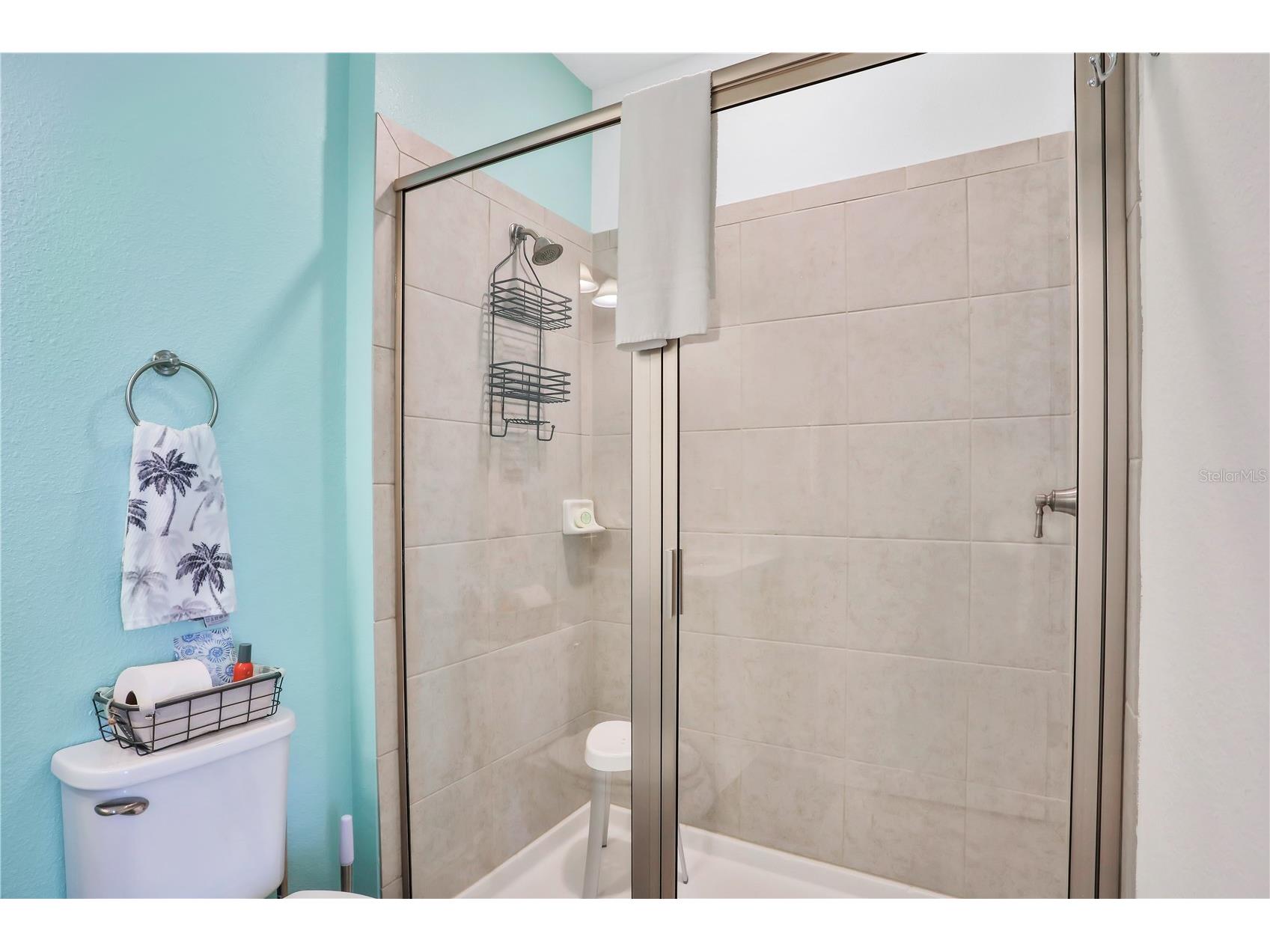 3056 Parrot Head Place Kissimmee FL 34747 O6265271 image38