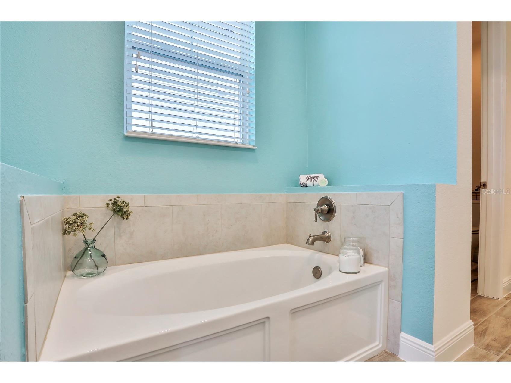 3056 Parrot Head Place Kissimmee FL 34747 O6265271 image45