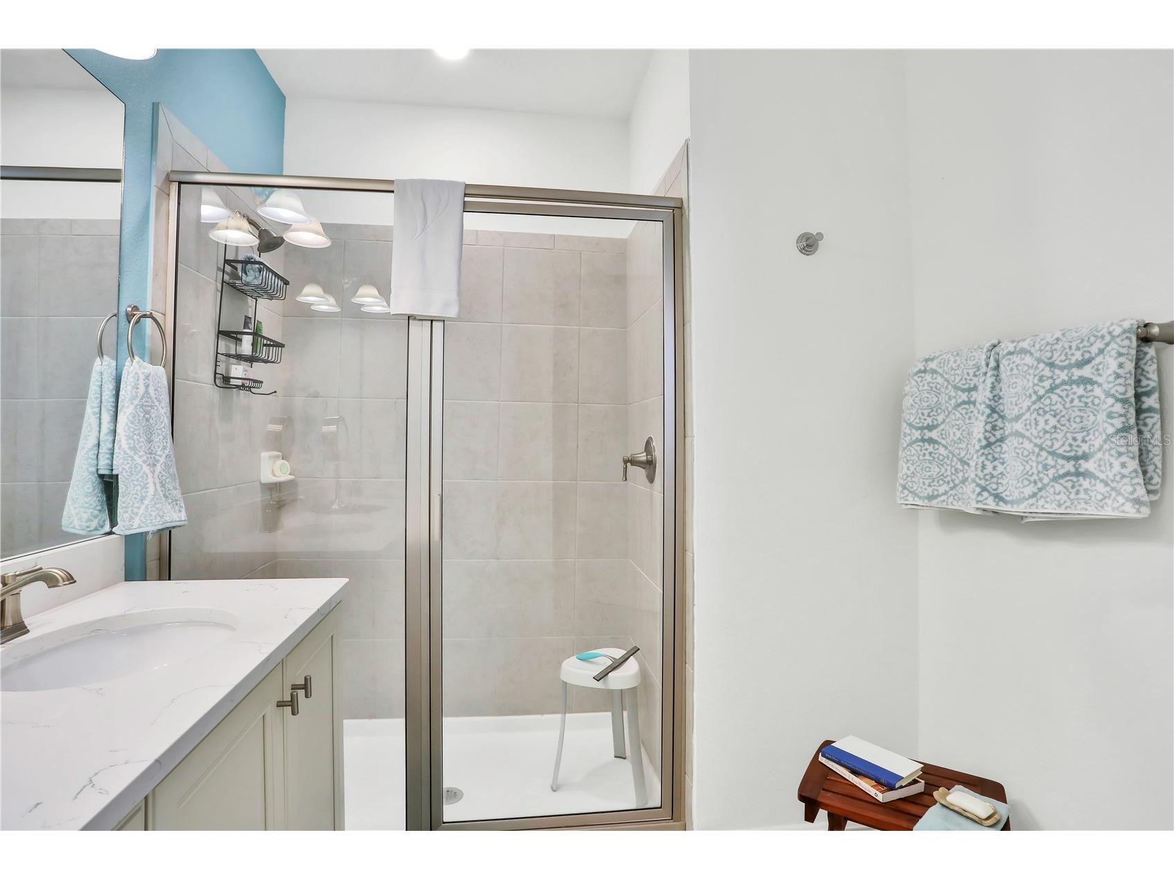 3056 Parrot Head Place Kissimmee FL 34747 O6265271 image47