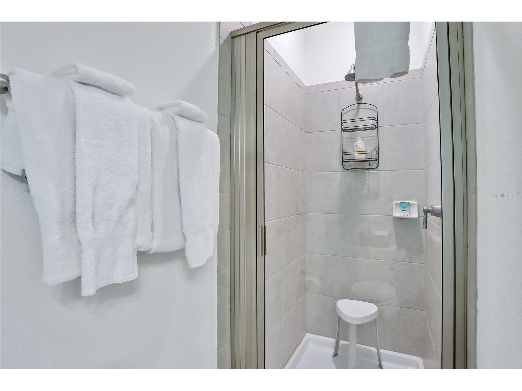 3056 Parrot Head Place Kissimmee FL 34747 O6265271 image64