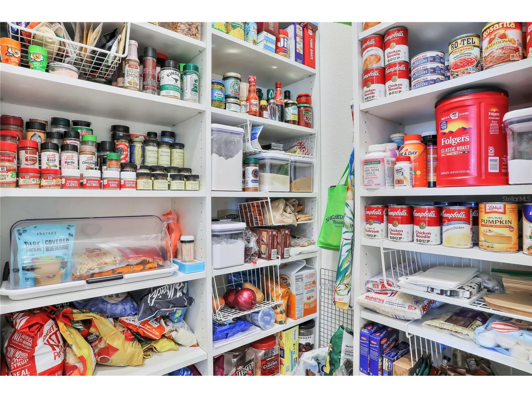 3056 Parrot Head Place Kissimmee FL 34747 O6265271 image66