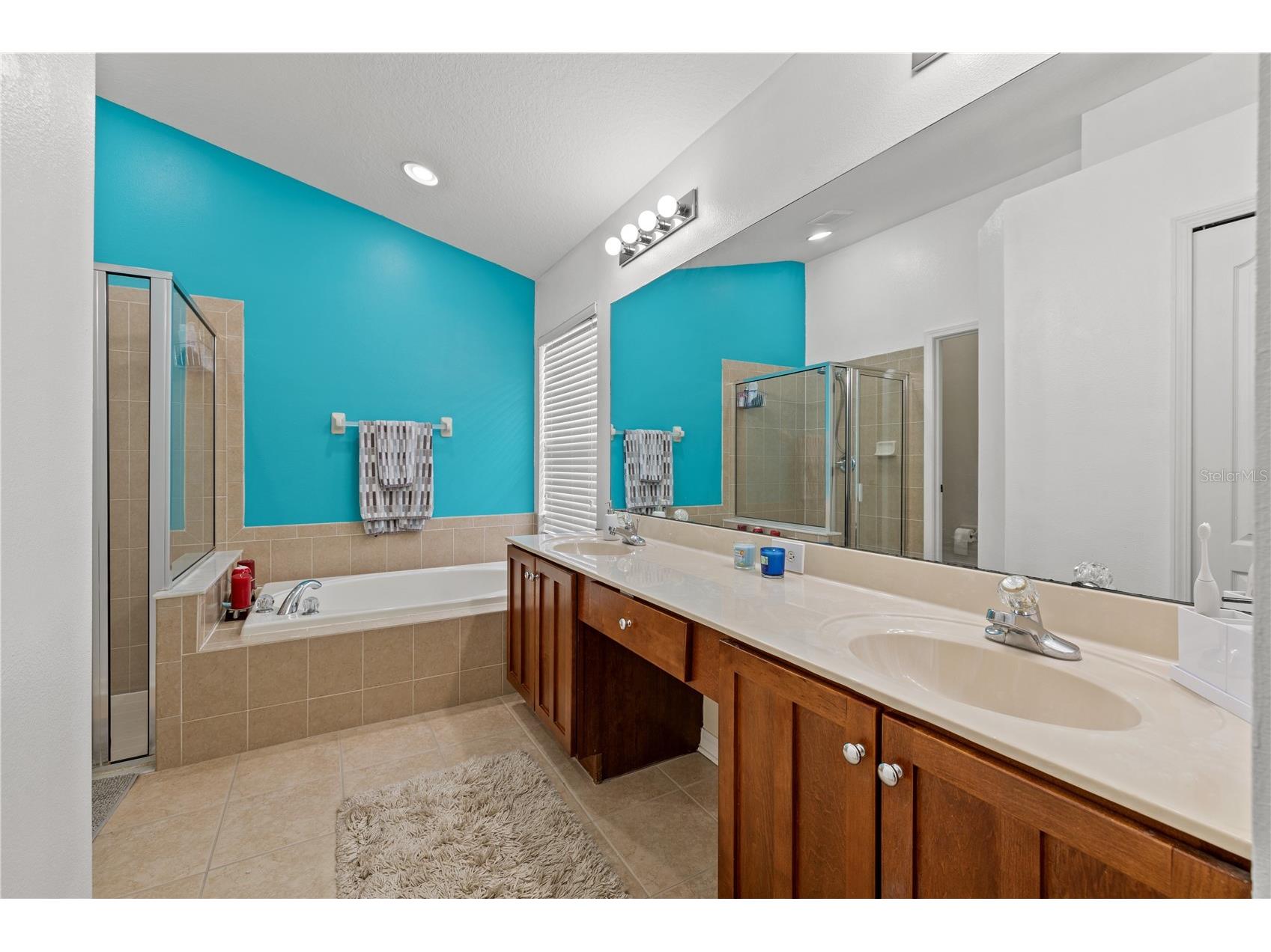 3056 Sunwatch Drive Wesley Chapel FL 33544 TB8521263 image19