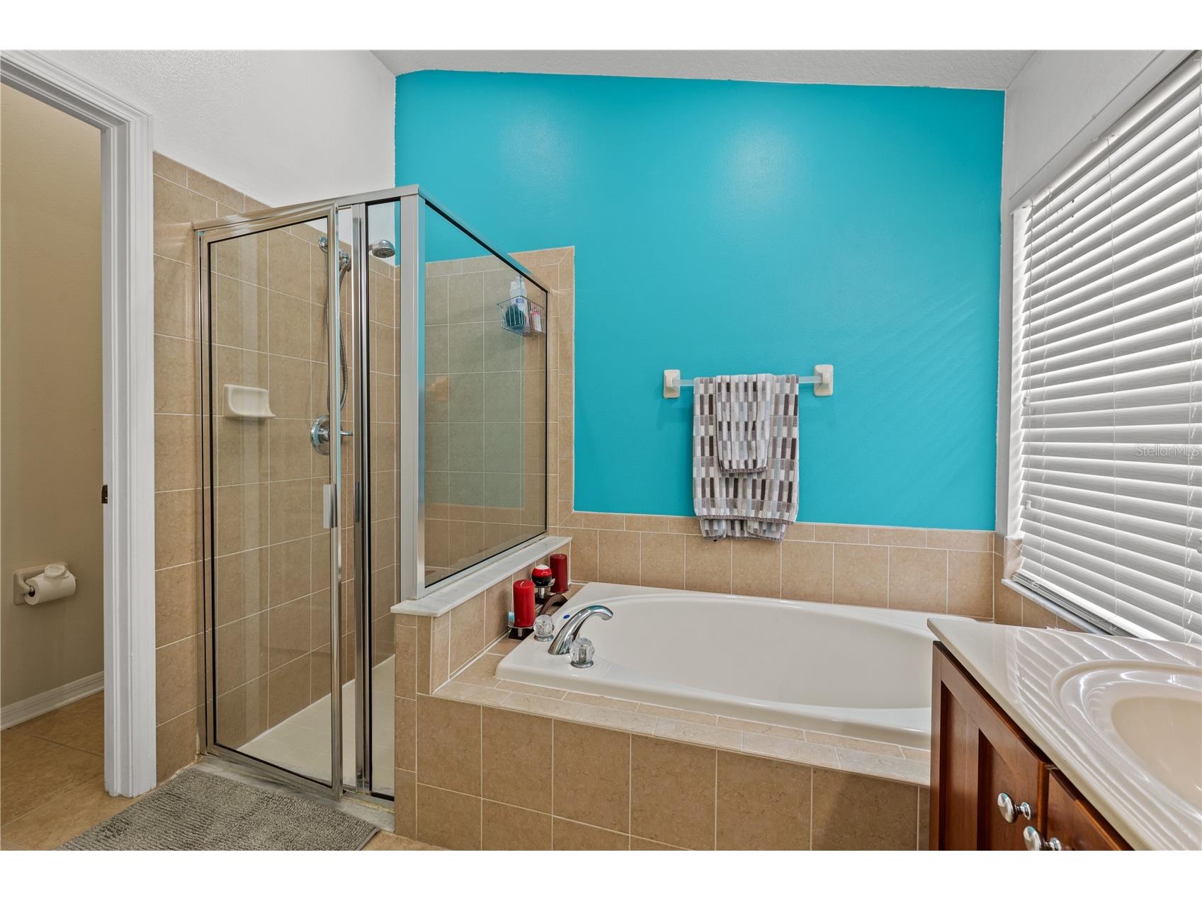 3056 Sunwatch Drive Wesley Chapel FL 33544 TB8521263 image20