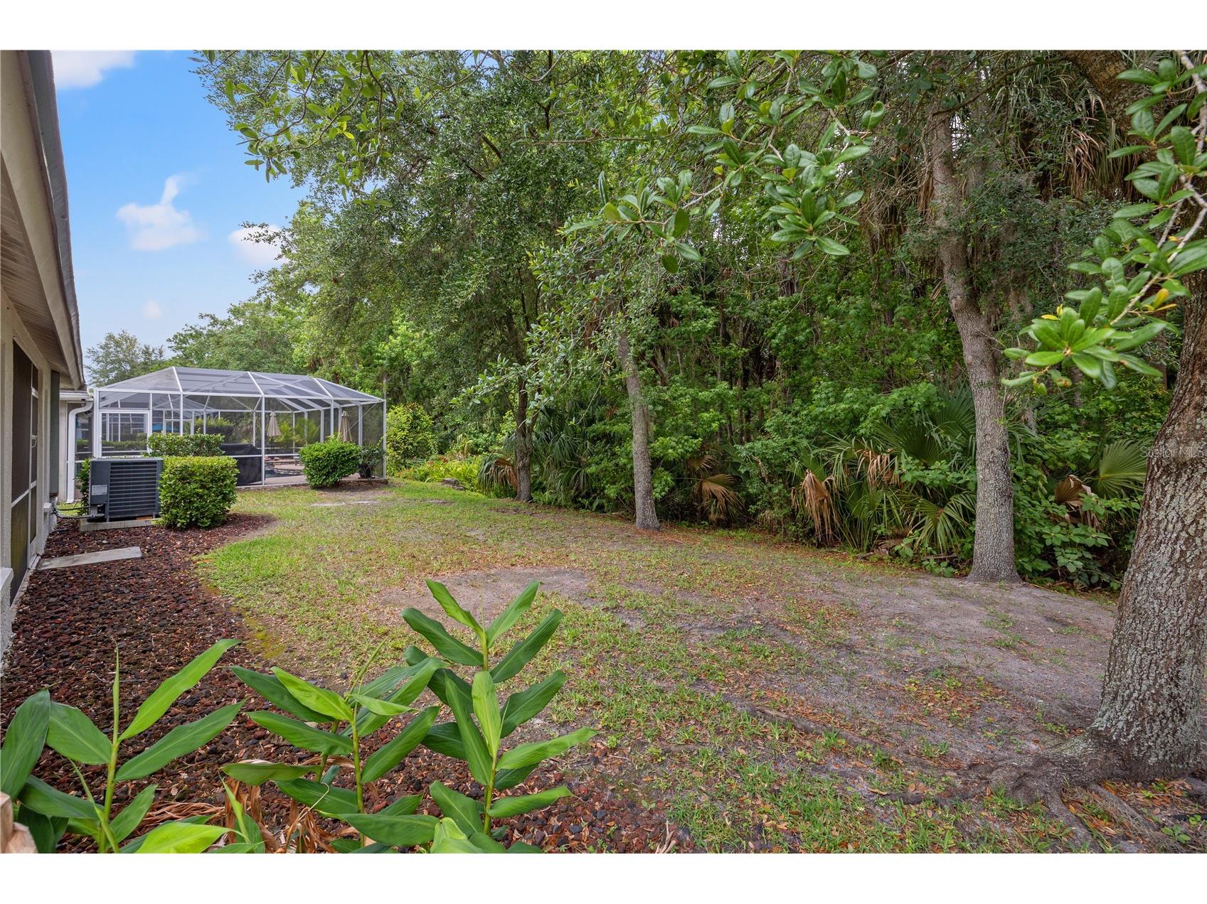 3056 Sunwatch Drive Wesley Chapel FL 33544 TB8521263 image23