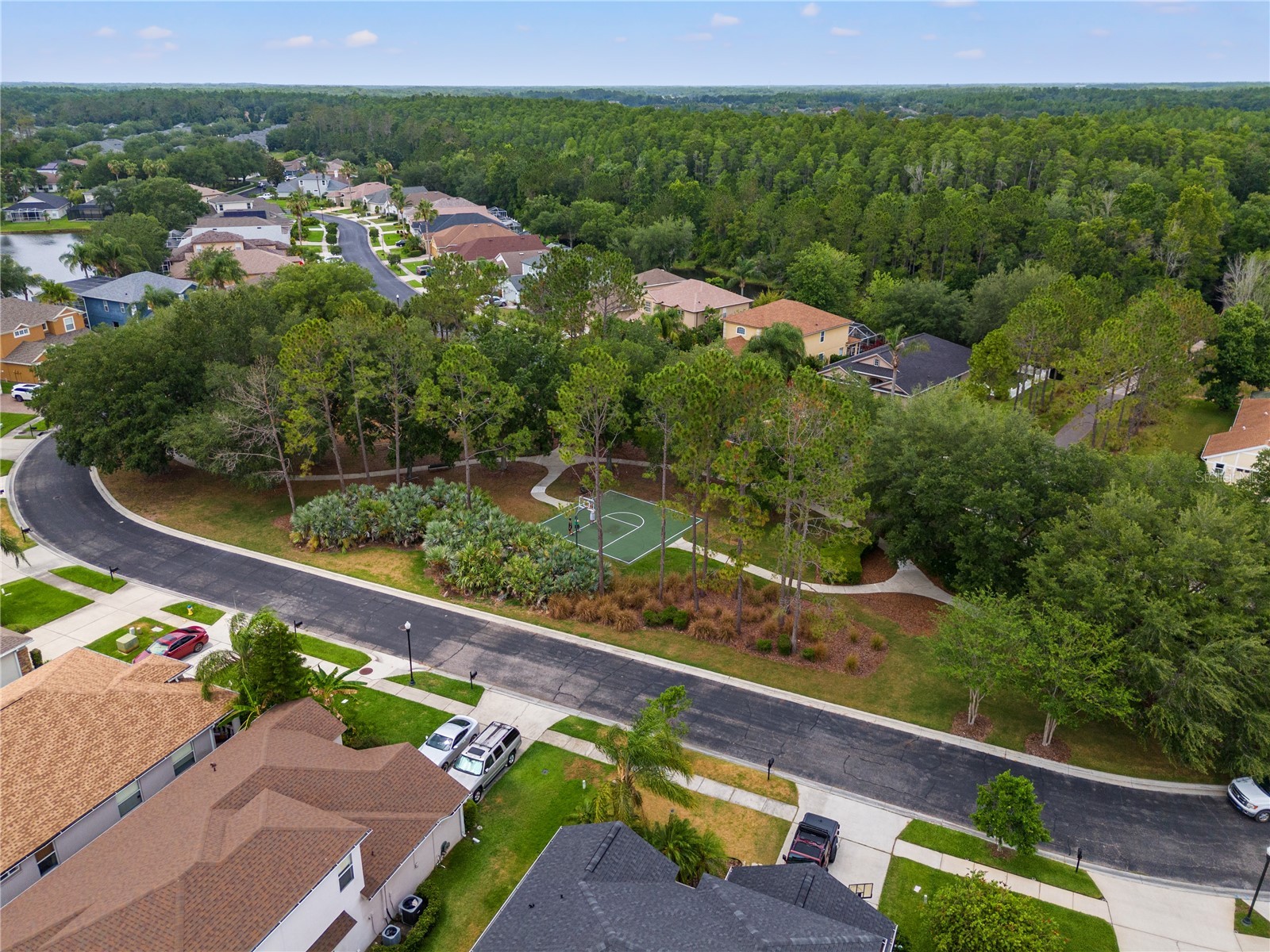 3056 Sunwatch Drive Wesley Chapel FL 33544 TB8521263 image24