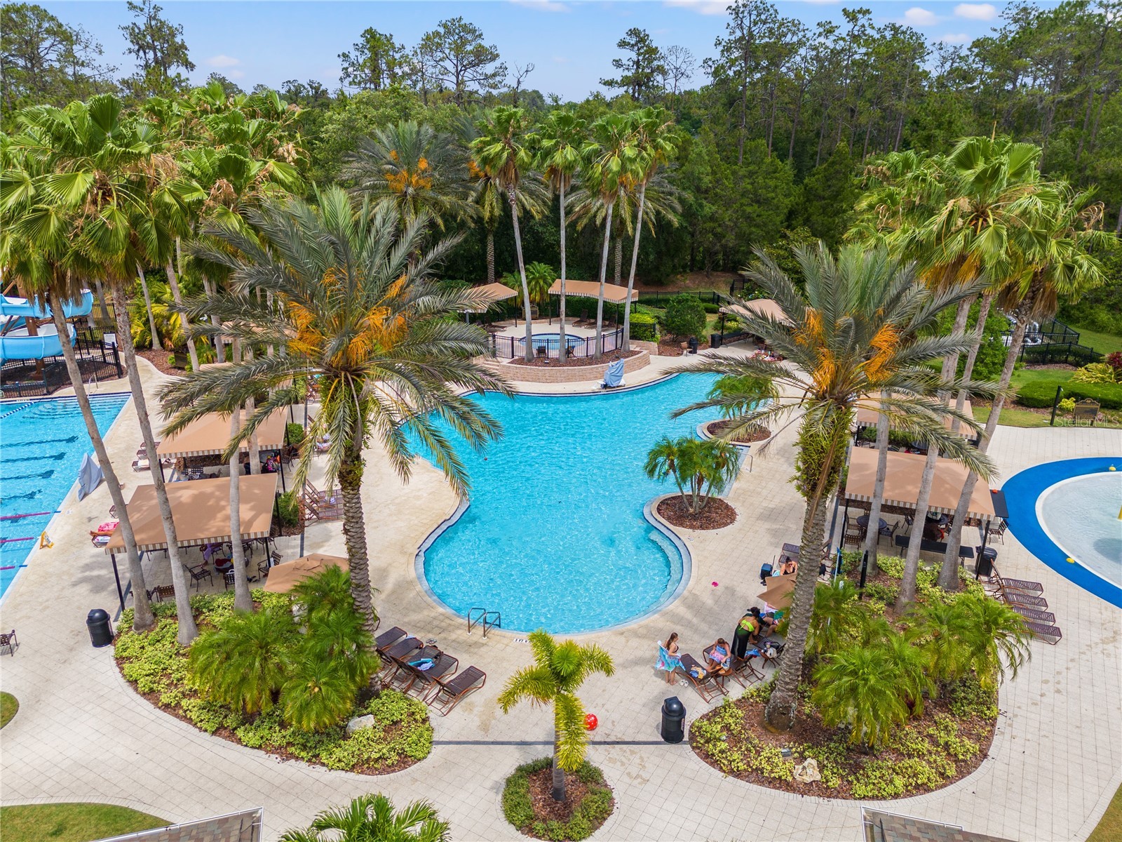 3056 Sunwatch Drive Wesley Chapel FL 33544 TB8521263 image26