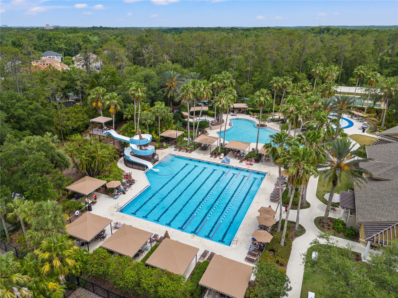 3056 Sunwatch Drive Wesley Chapel FL 33544 TB8521263 image27