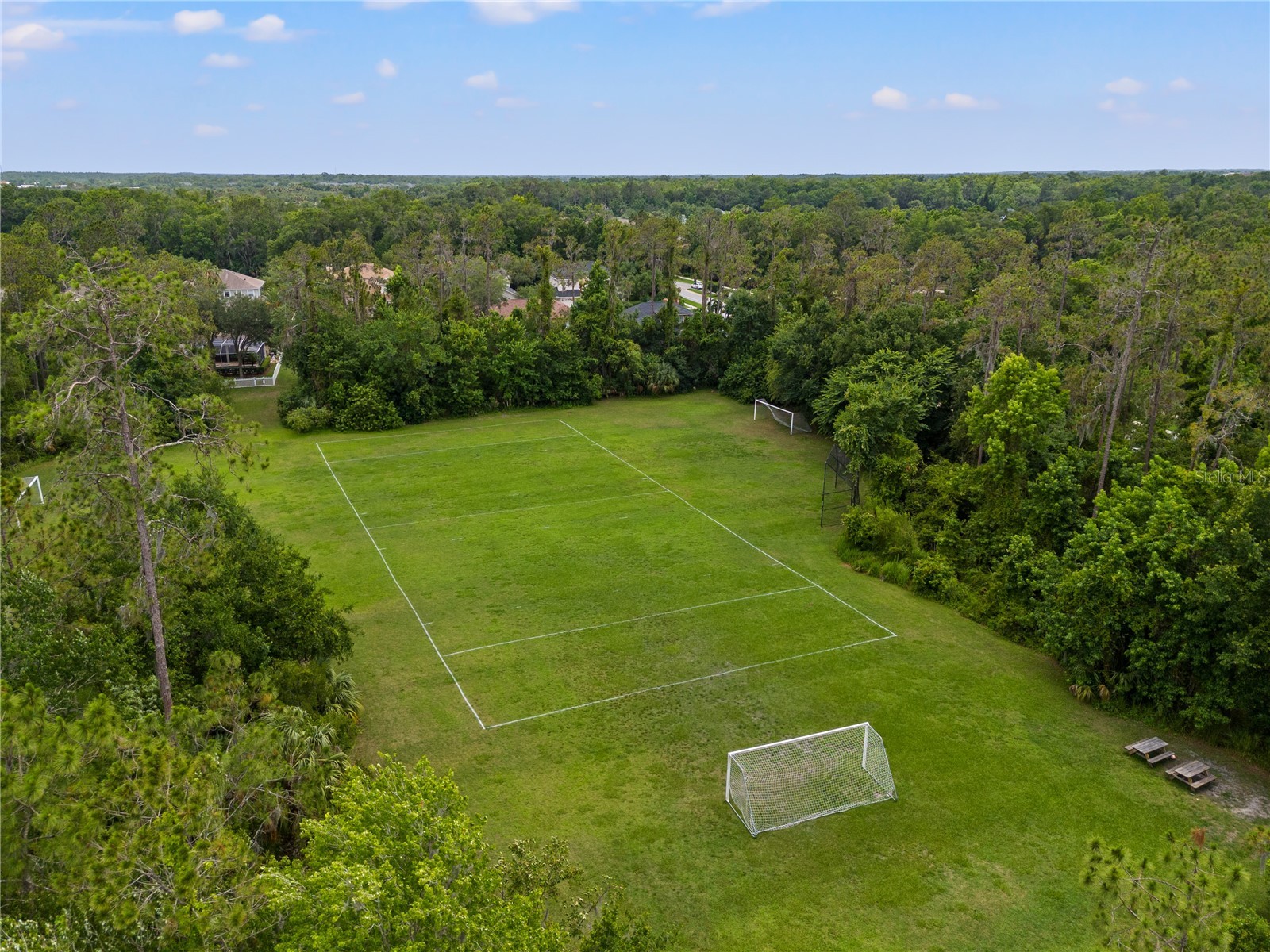 3056 Sunwatch Drive Wesley Chapel FL 33544 TB8521263 image32