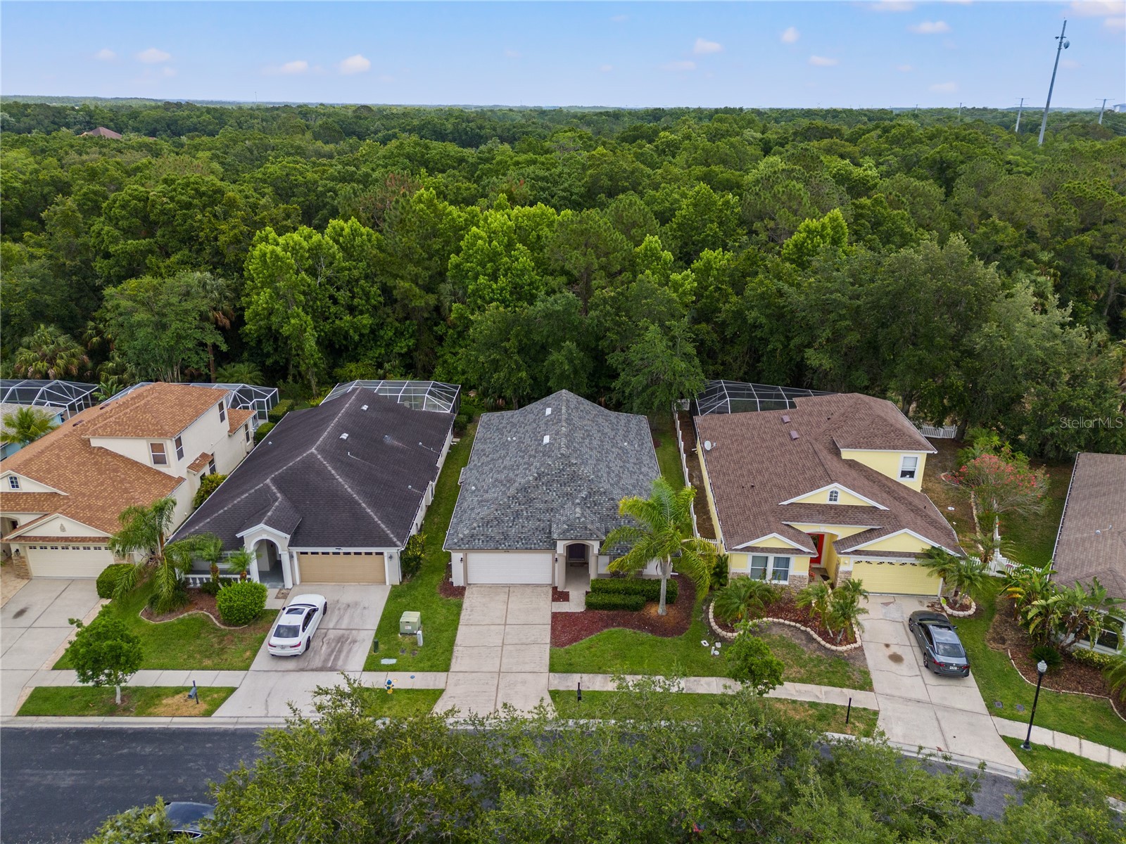3056 Sunwatch Drive Wesley Chapel FL 33544 TB8521263 image33