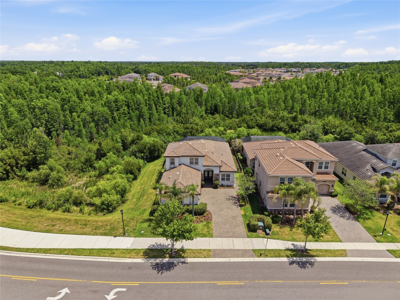 30567 Chesapeake Bay Drive Wesley Chapel FL 33543 TB8506151 image61