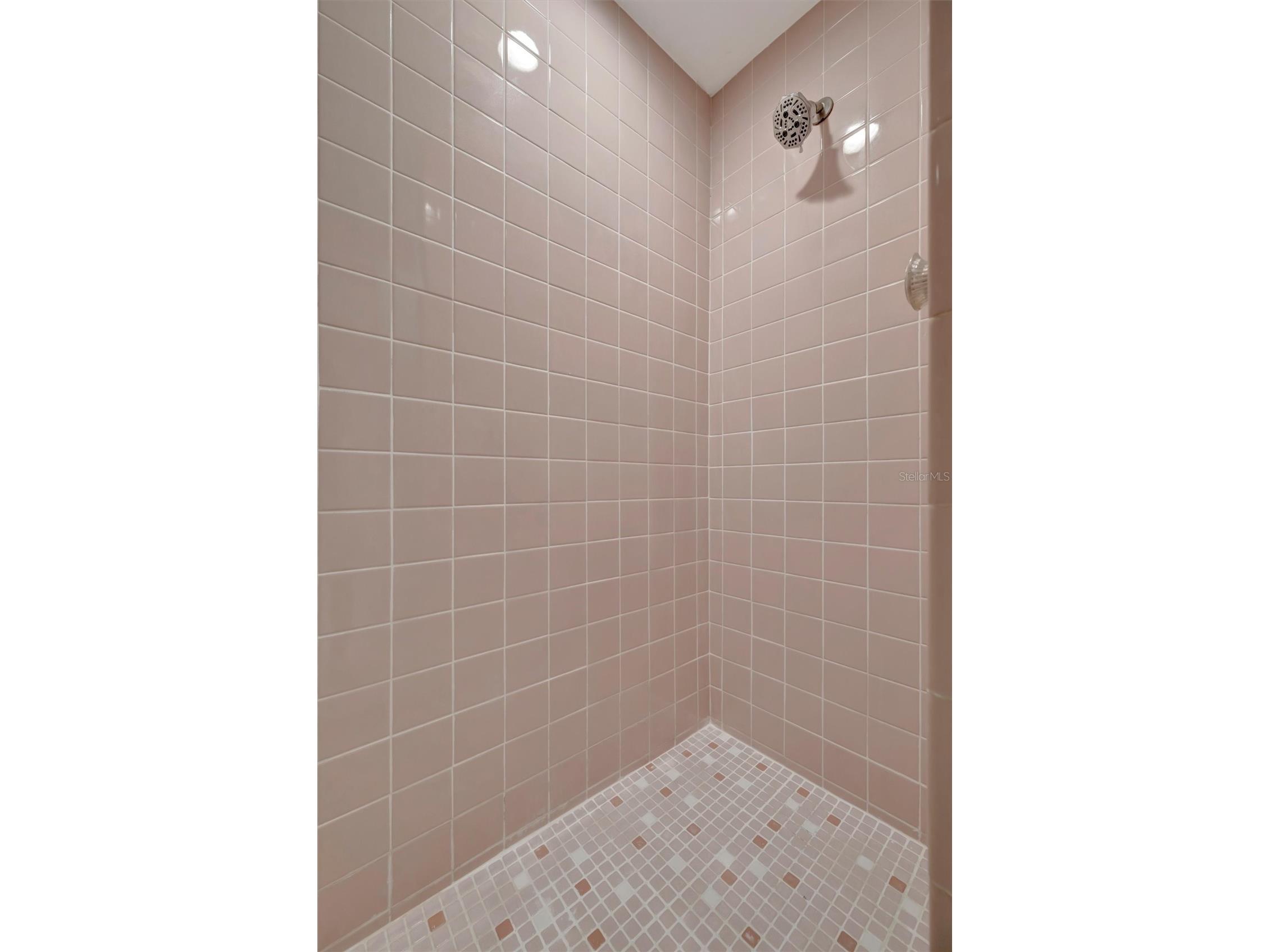 3057 Branch Drive Clearwater FL 33760 TB8500768 image30