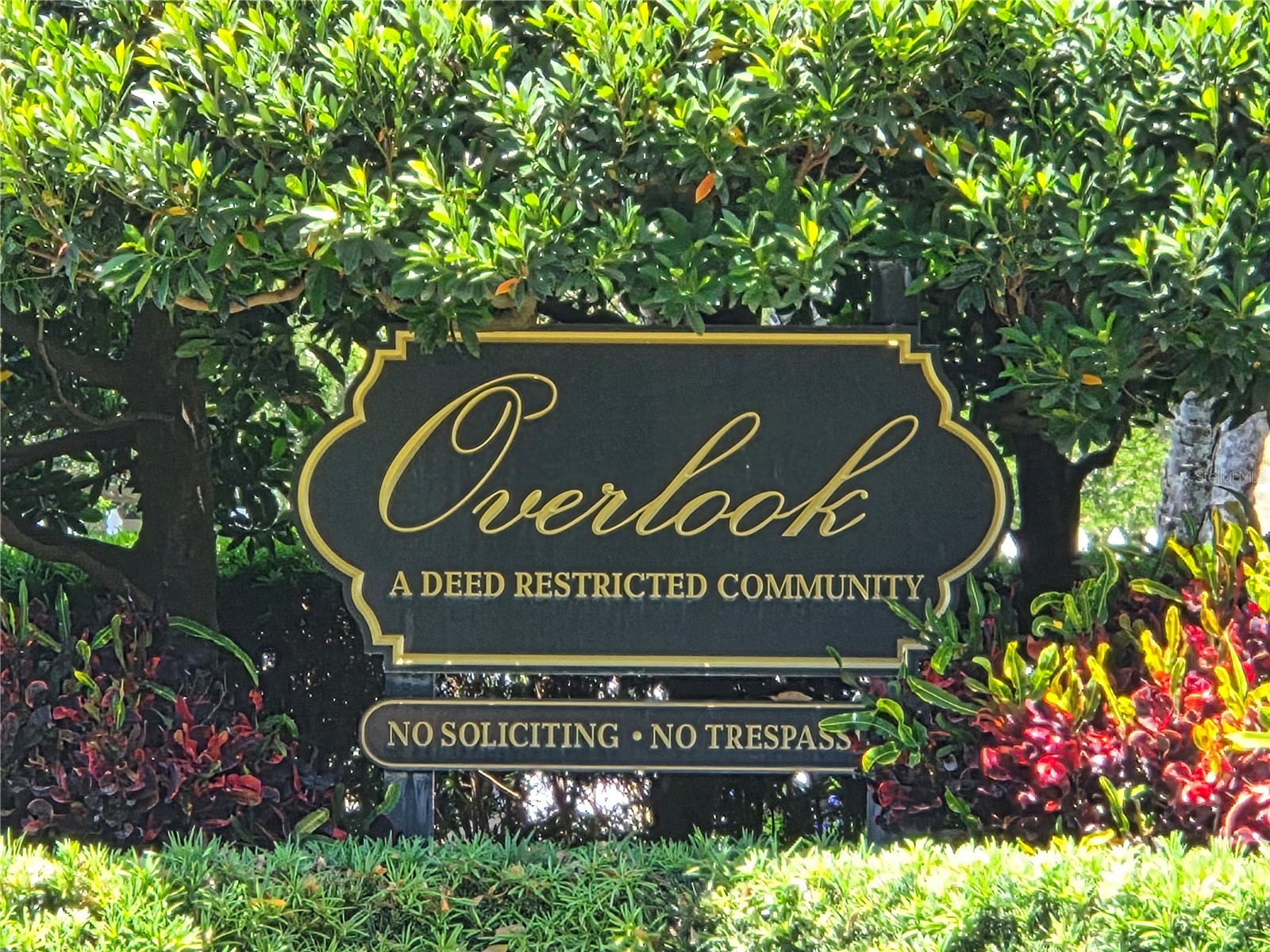 3057 Branch Drive Clearwater FL 33760 TB8500768 image36