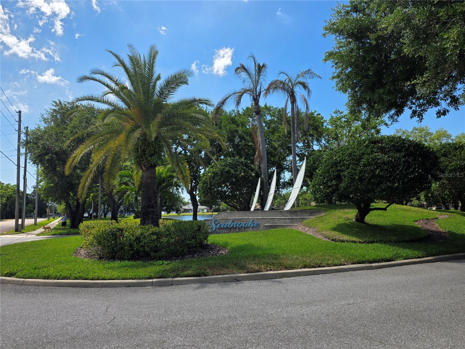 3057 Branch Drive Clearwater FL 33760 TB8500768 image37
