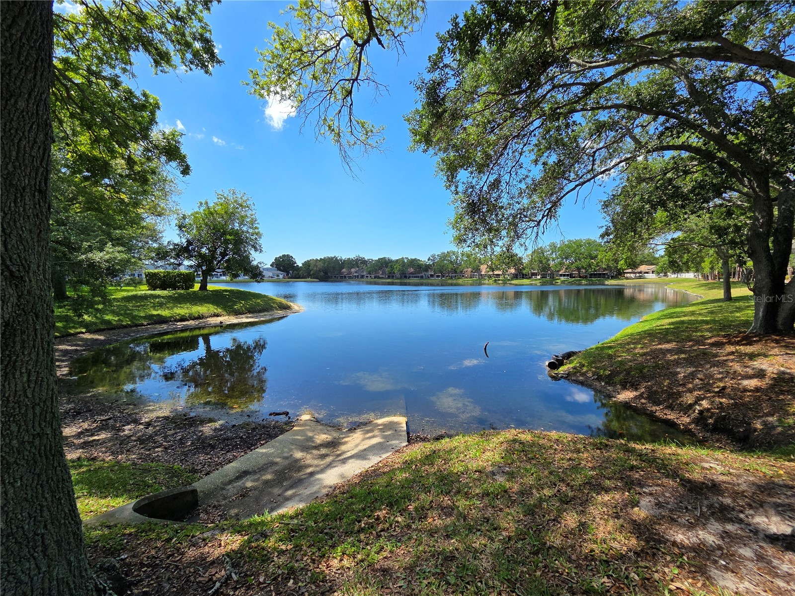 3057 Branch Drive Clearwater FL 33760 TB8500768 image38