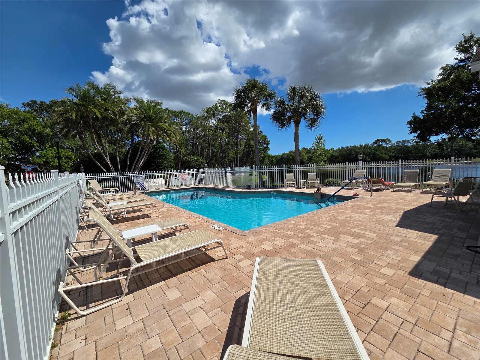 3057 Branch Drive Clearwater FL 33760 TB8500768 image40