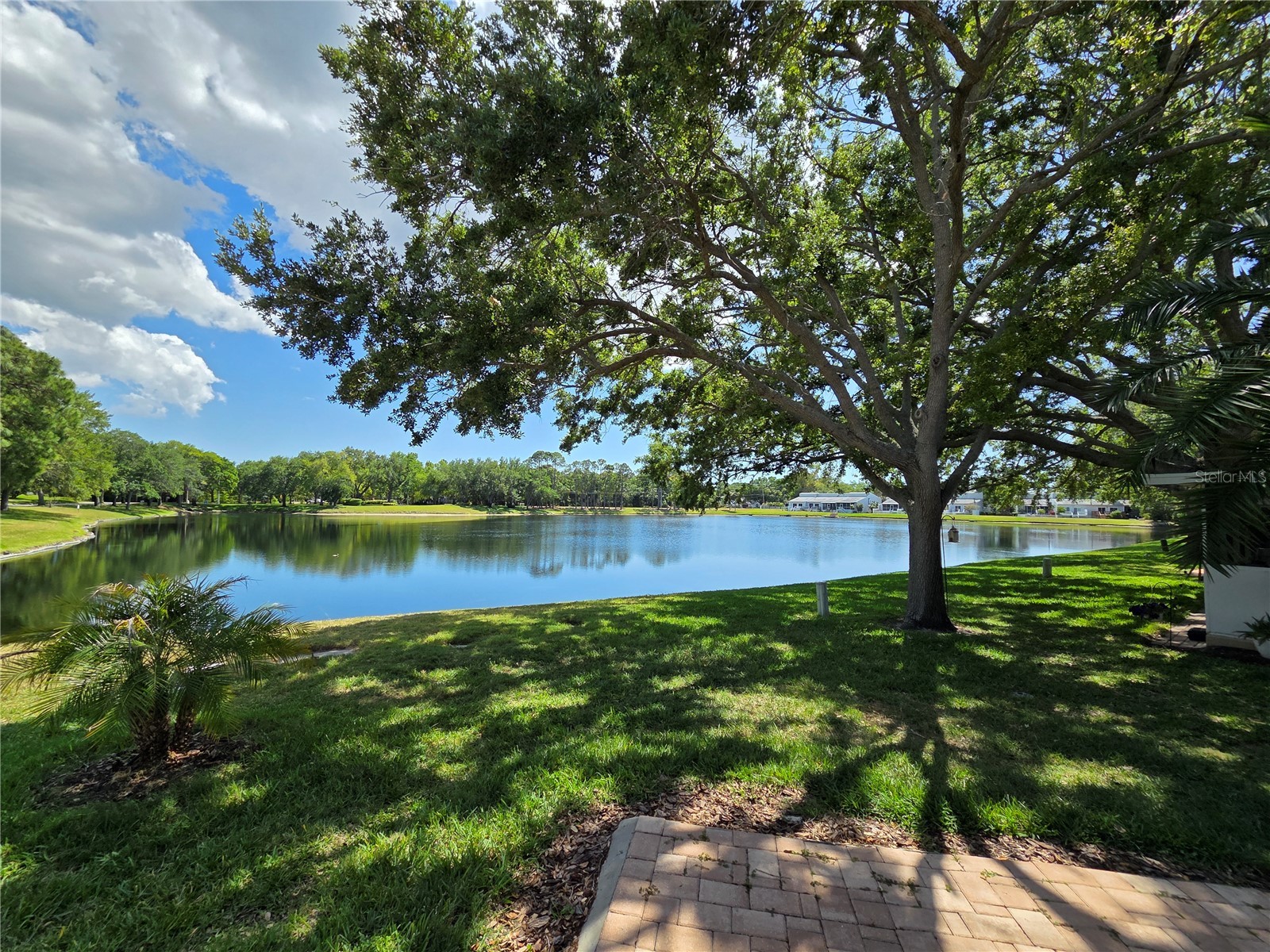 3057 Branch Drive Clearwater FL 33760 TB8500768 image41