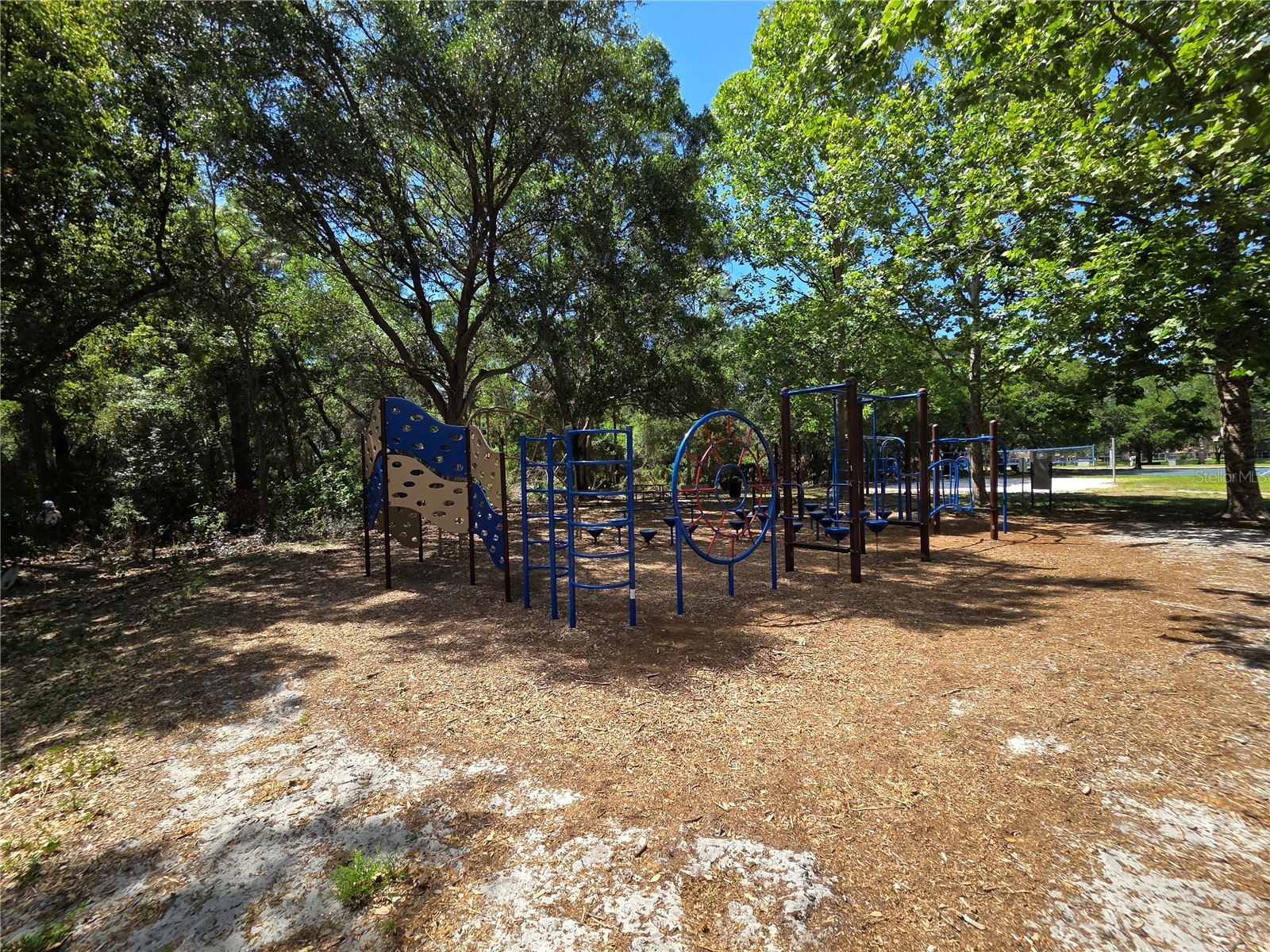 3057 Branch Drive Clearwater FL 33760 TB8500768 image49