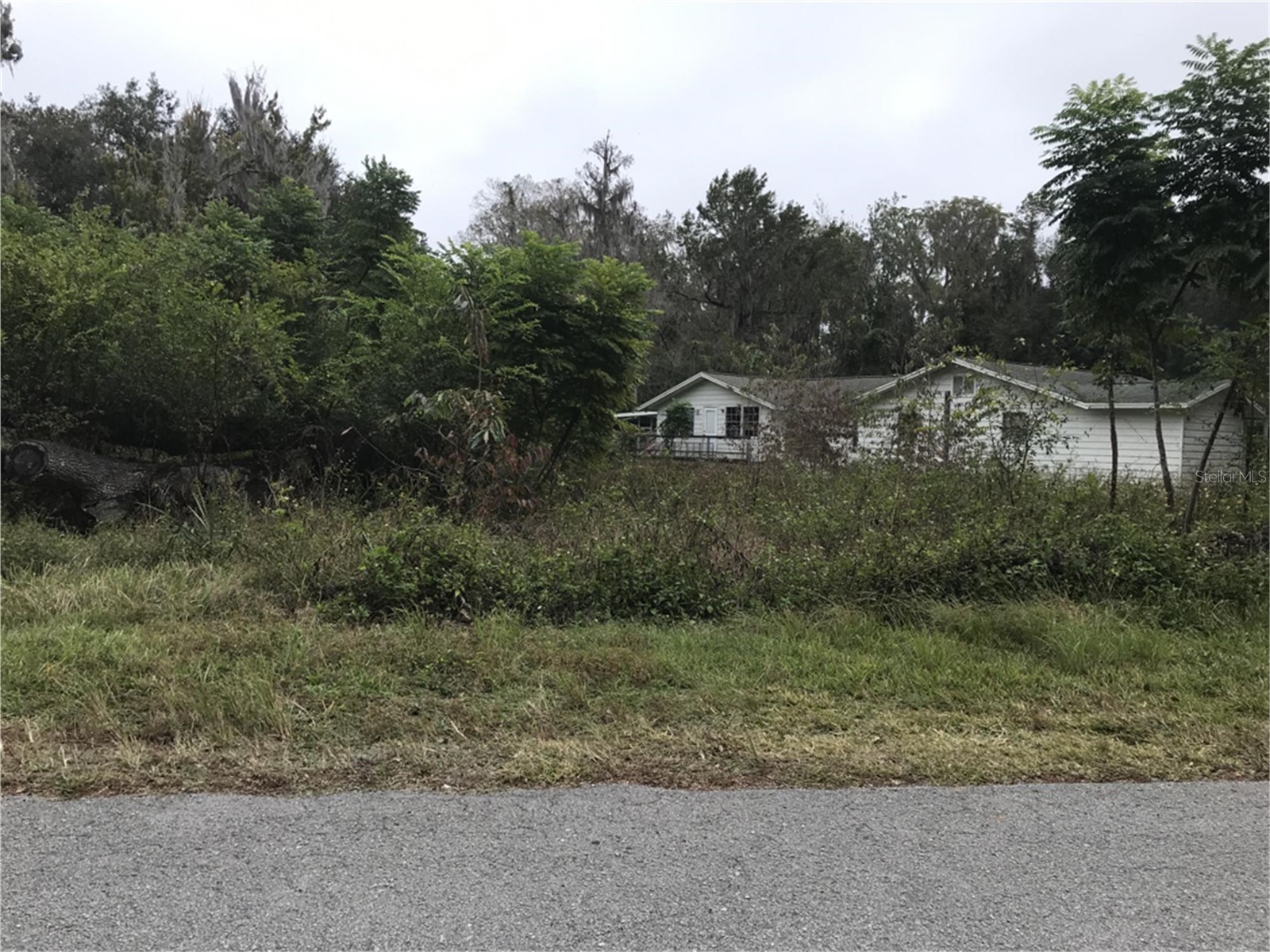 3057 Cr 431n Lake Panasoffkee FL 33538 O6339888 image2