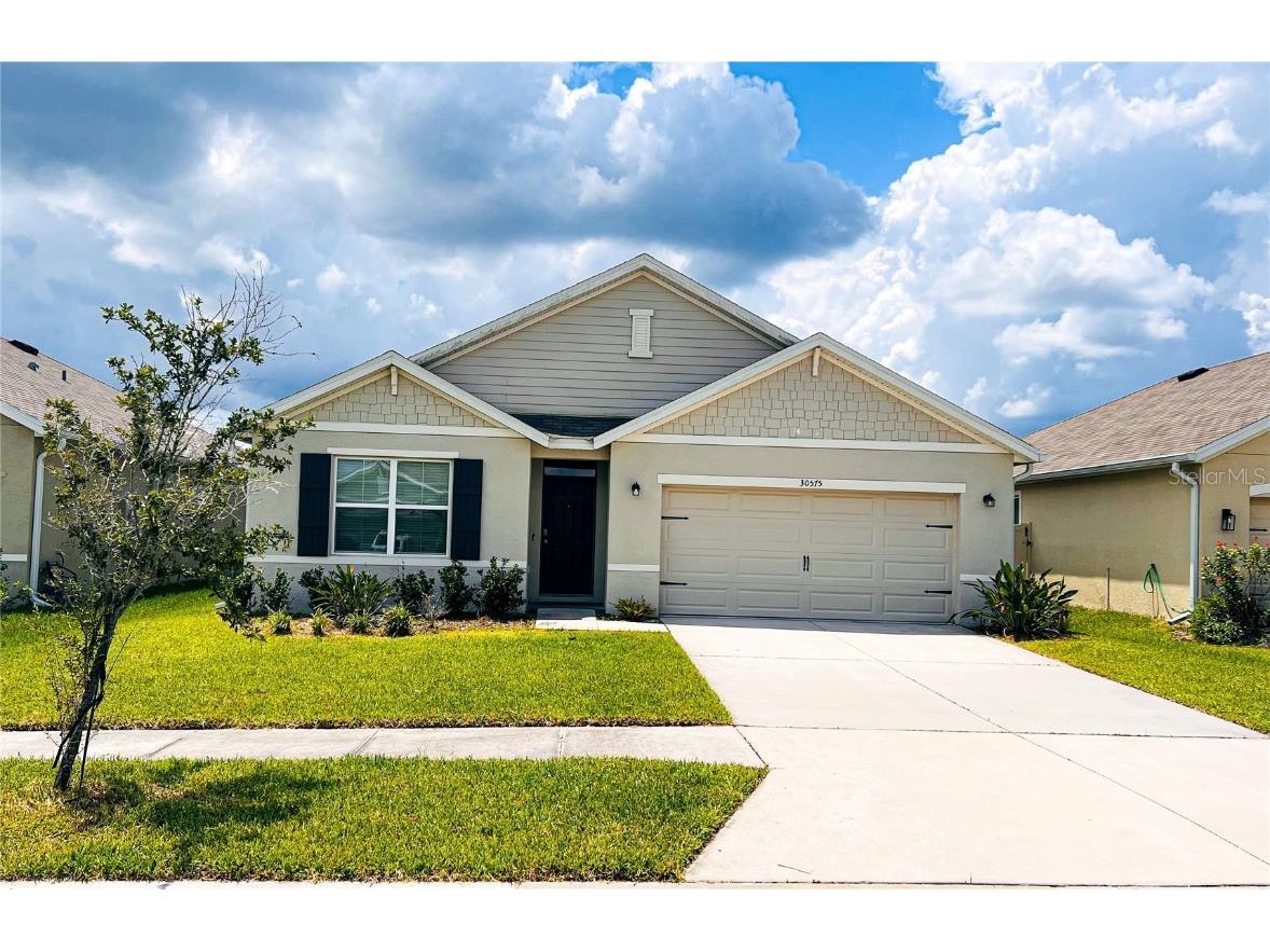 30575 Summer Sun Loop Wesley Chapel FL 33545 T3463713 image1