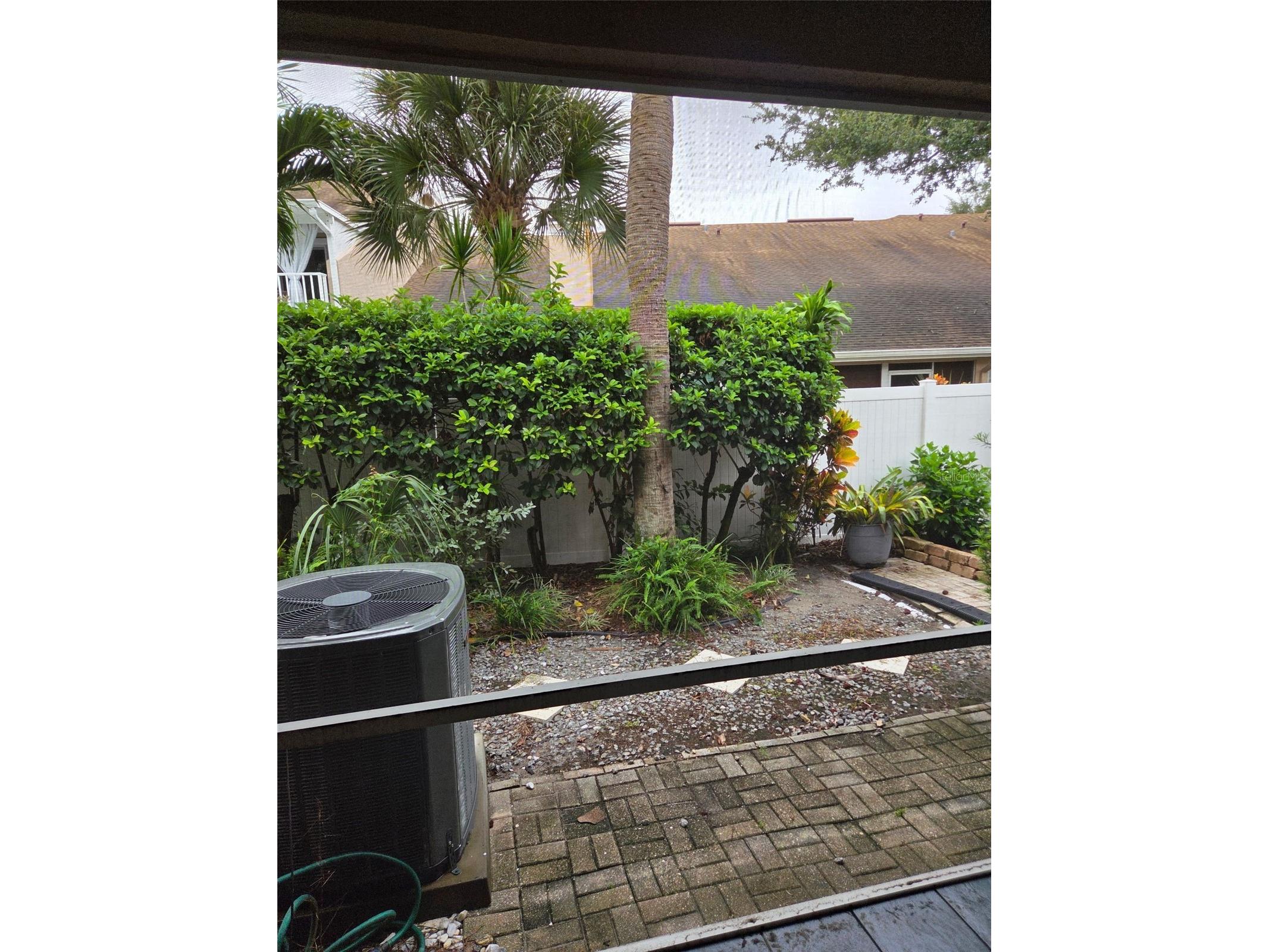 3058 Branch Drive Clearwater FL 33760 TB8425686 image11