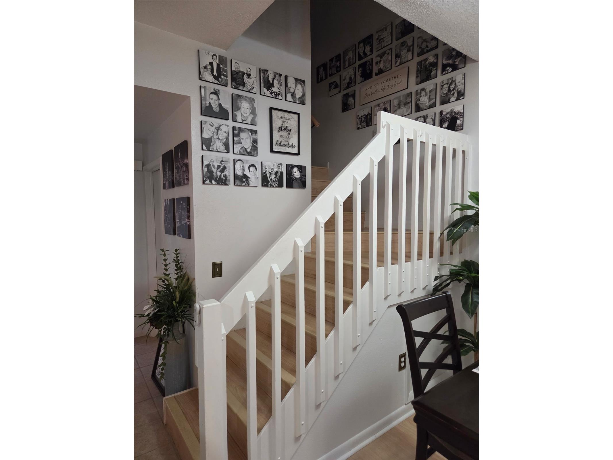 3058 Branch Drive Clearwater FL 33760 TB8425686 image17