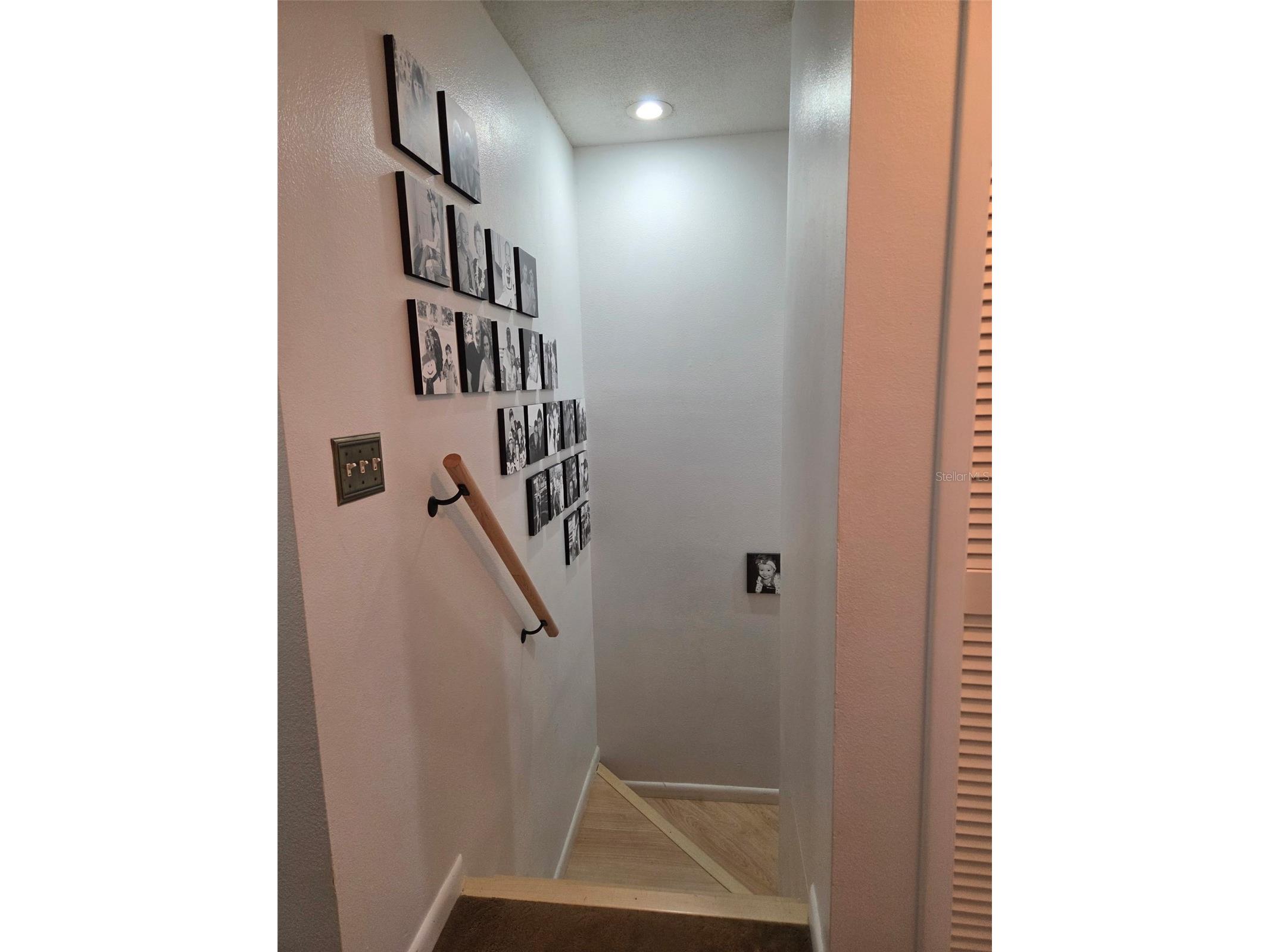 3058 Branch Drive Clearwater FL 33760 TB8425686 image18