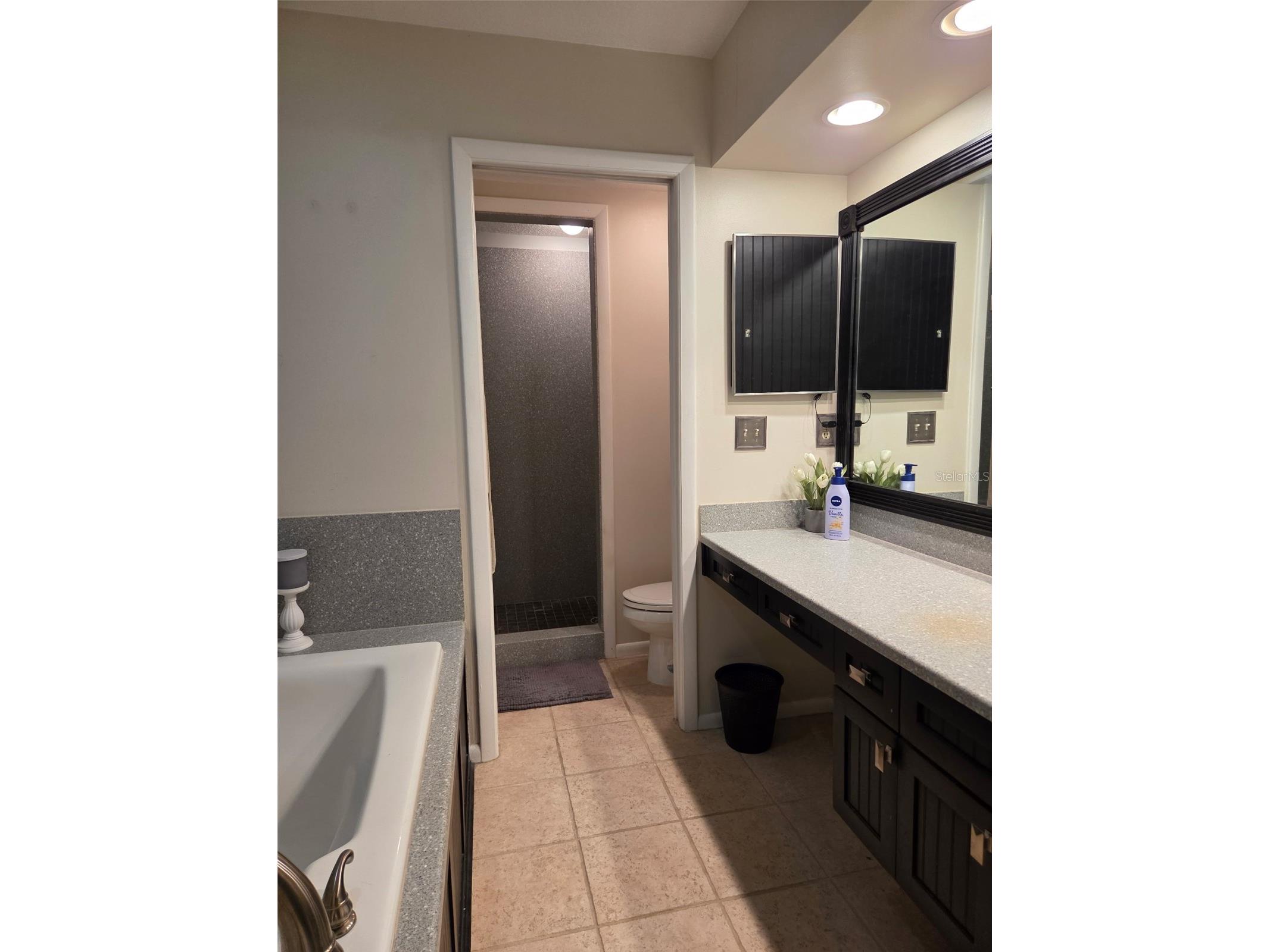 3058 Branch Drive Clearwater FL 33760 TB8425686 image24