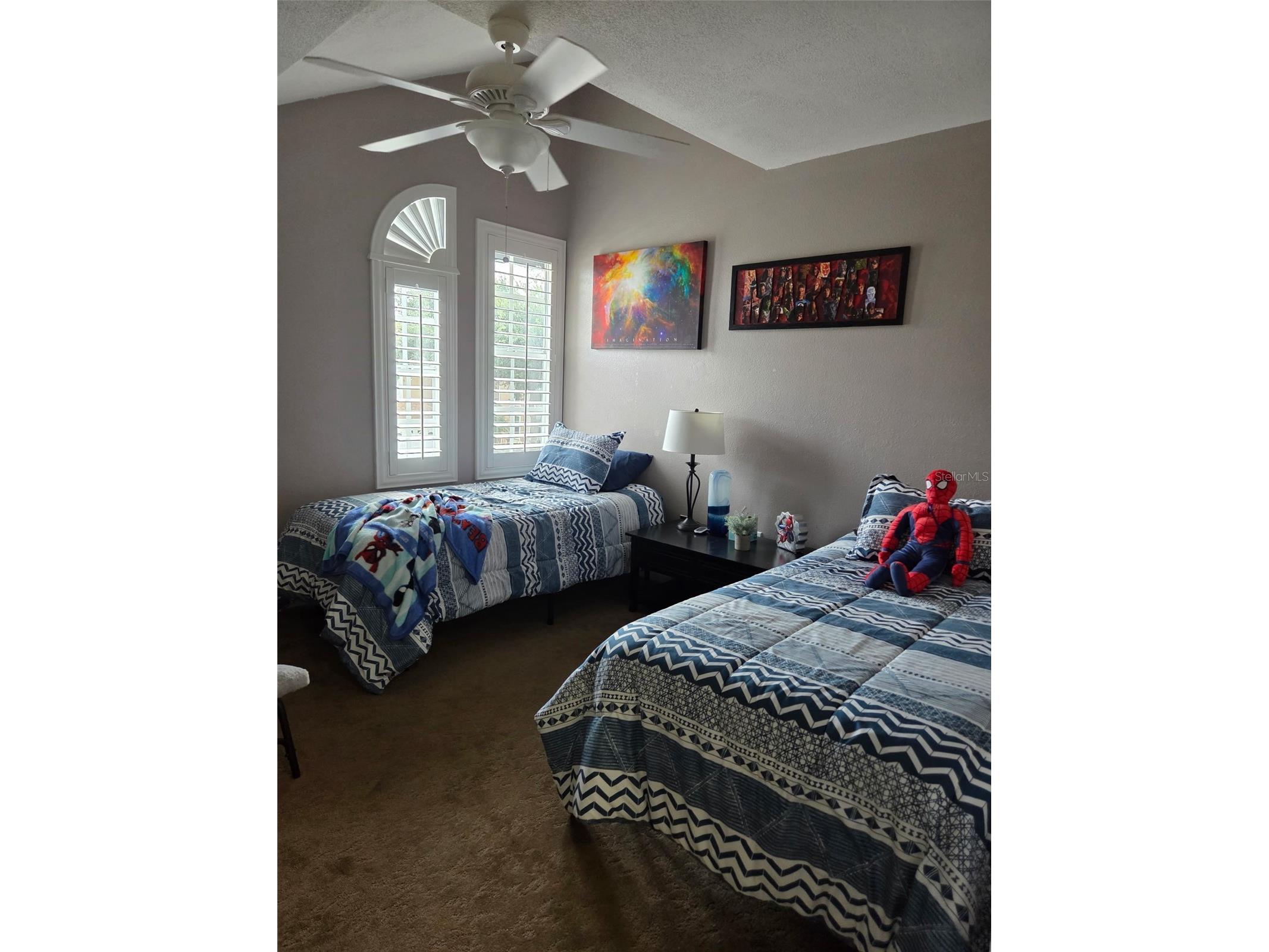 3058 Branch Drive Clearwater FL 33760 TB8425686 image26