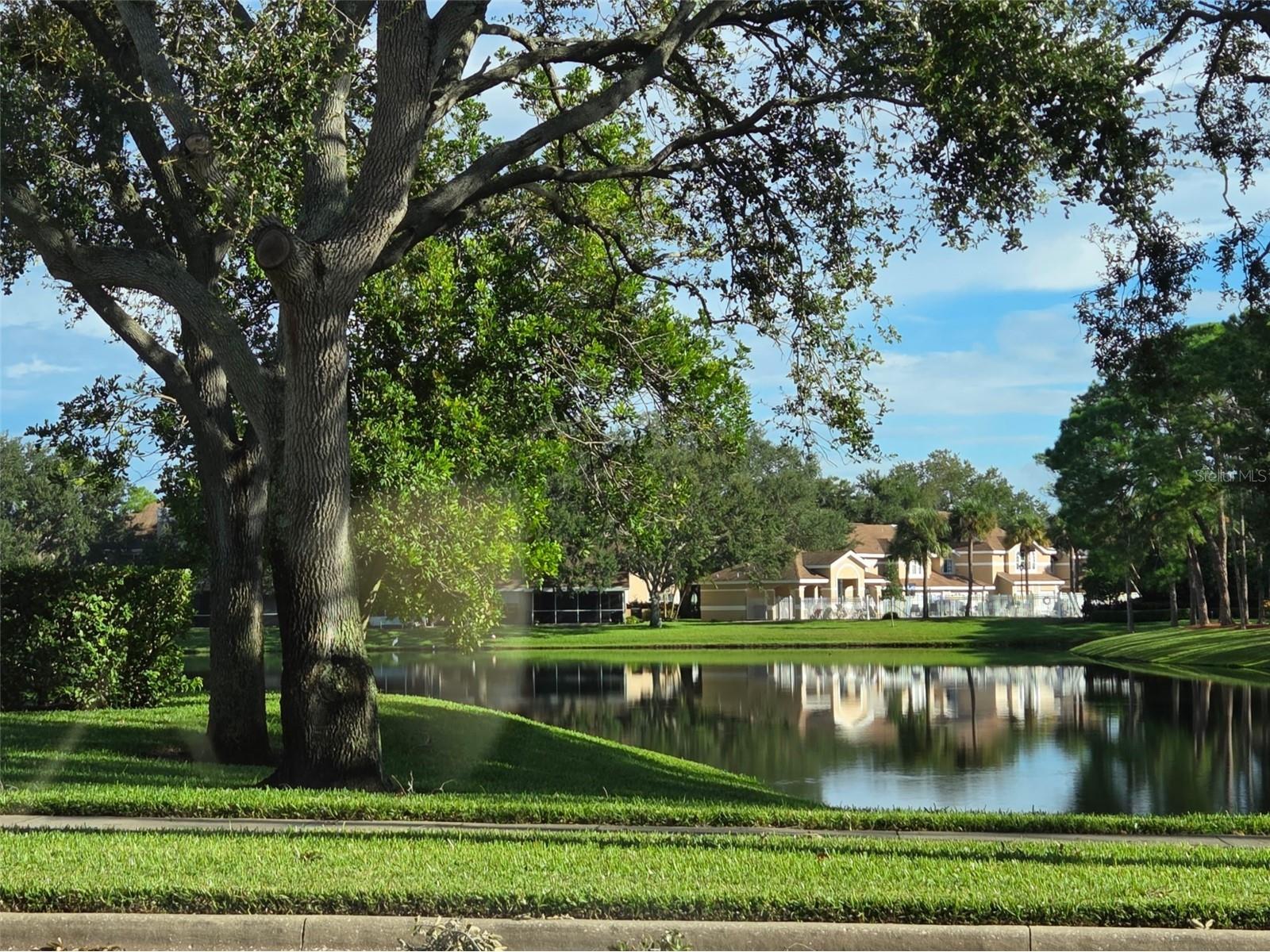 3058 Branch Drive Clearwater FL 33760 TB8425686 image31