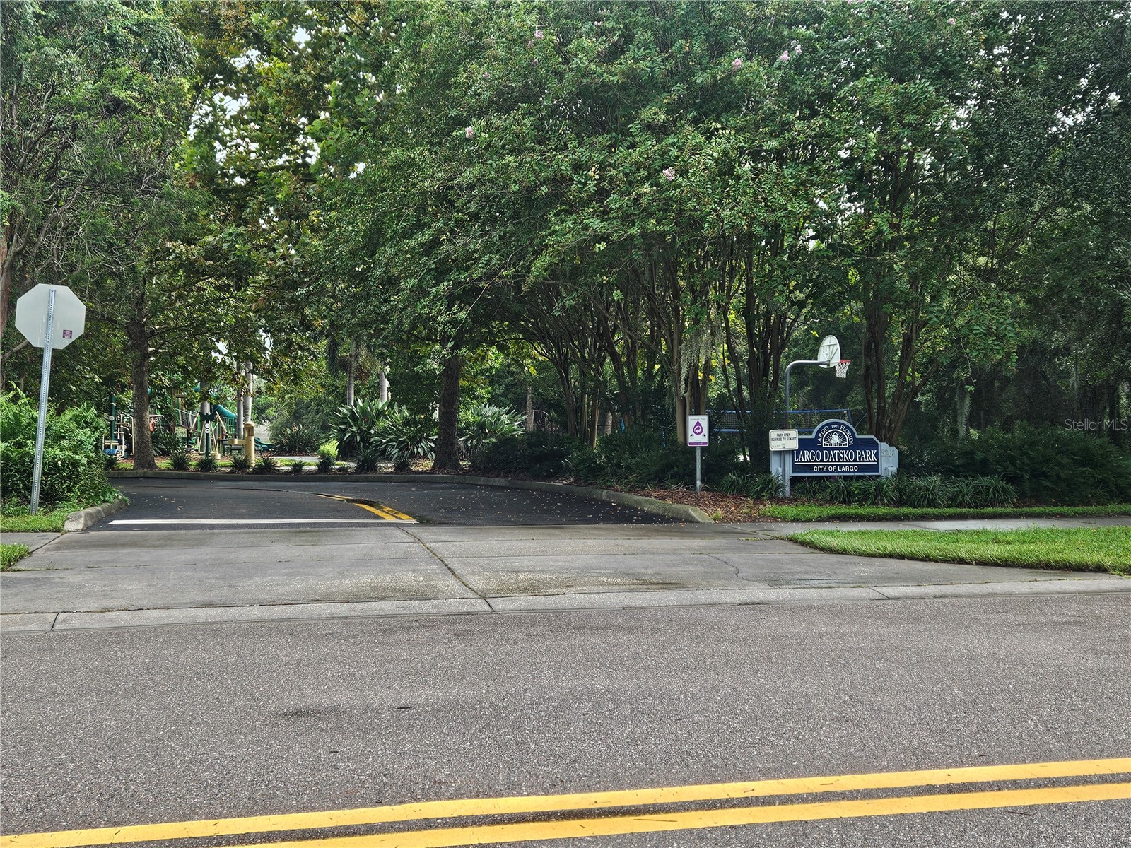 3058 Branch Drive Clearwater FL 33760 TB8425686 image32