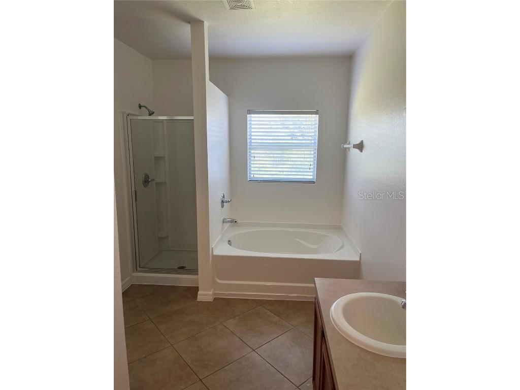 3058 Dasha Palm Drive Kissimmee FL 34744 O6353048 image11