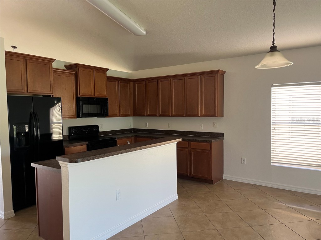 3058 Dasha Palm Drive Kissimmee FL 34744 O6353048 image7