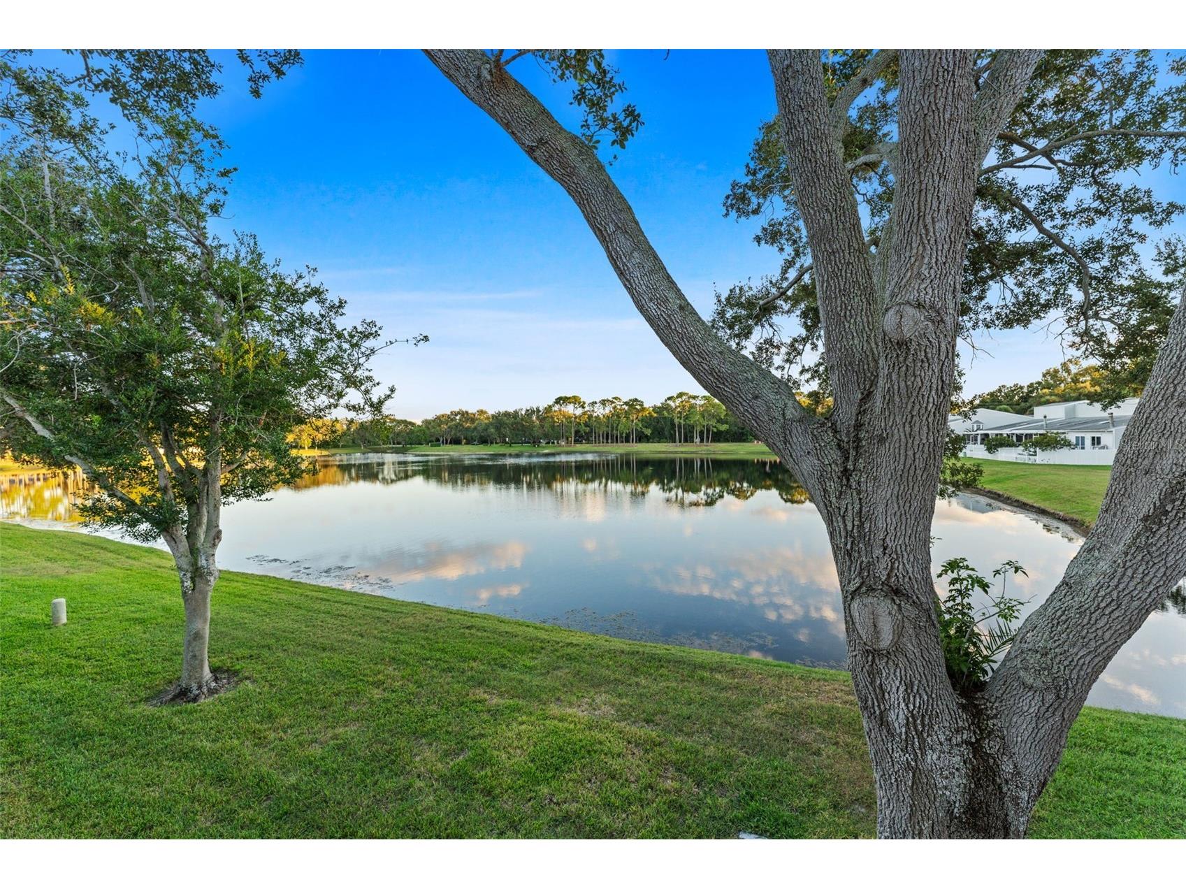 3058 Overlook Place Clearwater FL 33760 TB8447707 image36