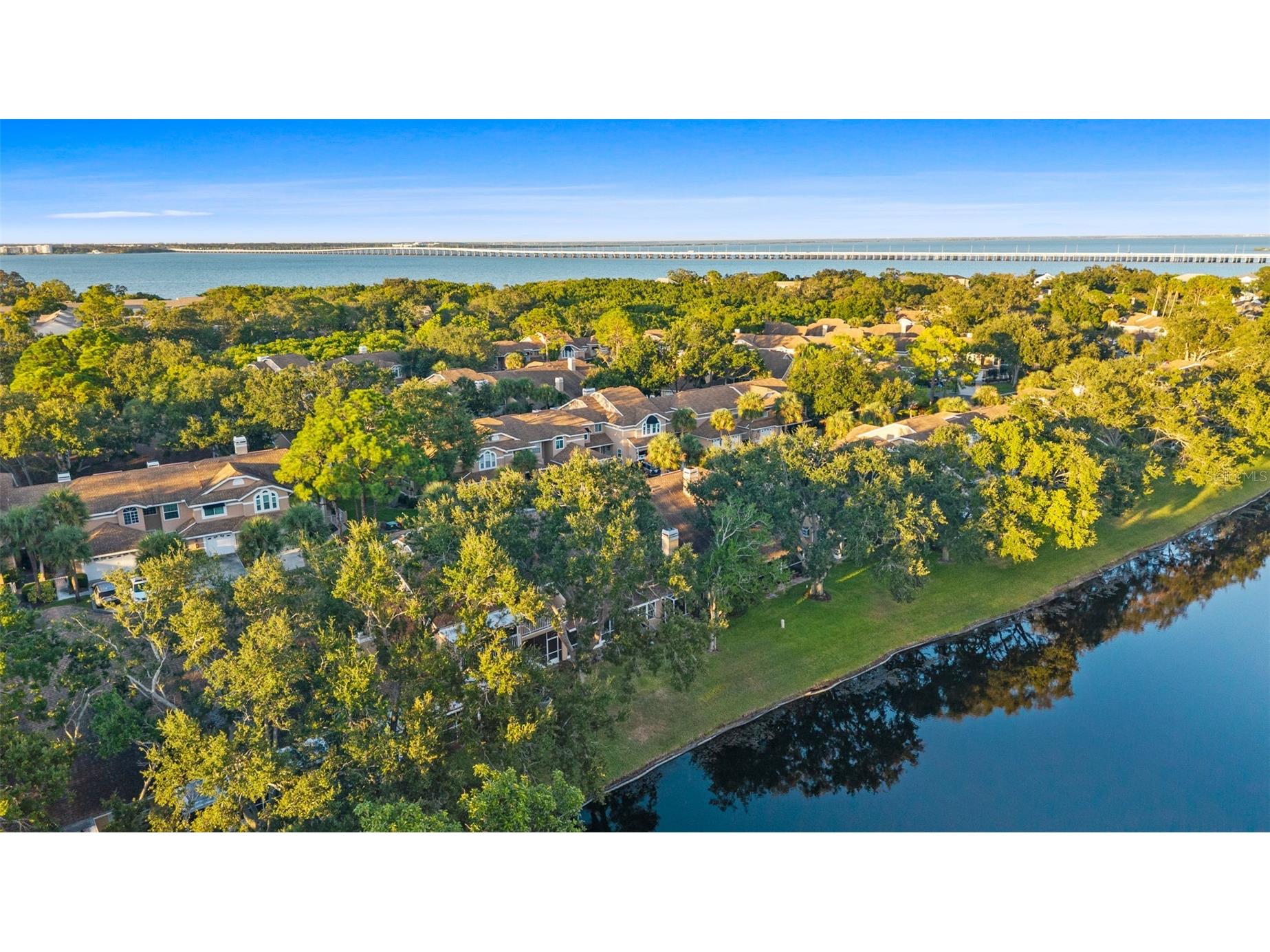 3058 Overlook Place Clearwater FL 33760 TB8447707 image40