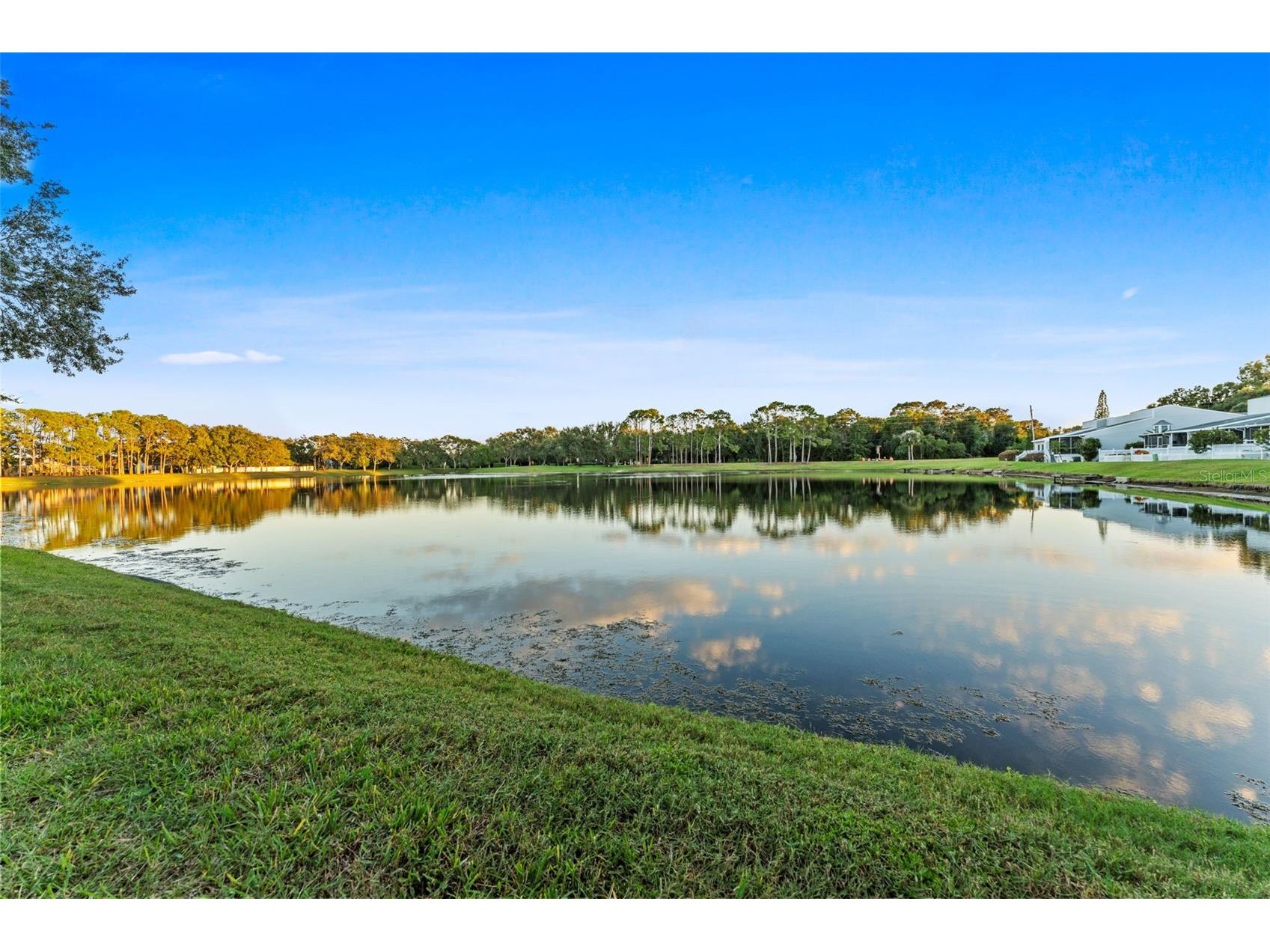 3058 Overlook Place Clearwater FL 33760 TB8447707 image5