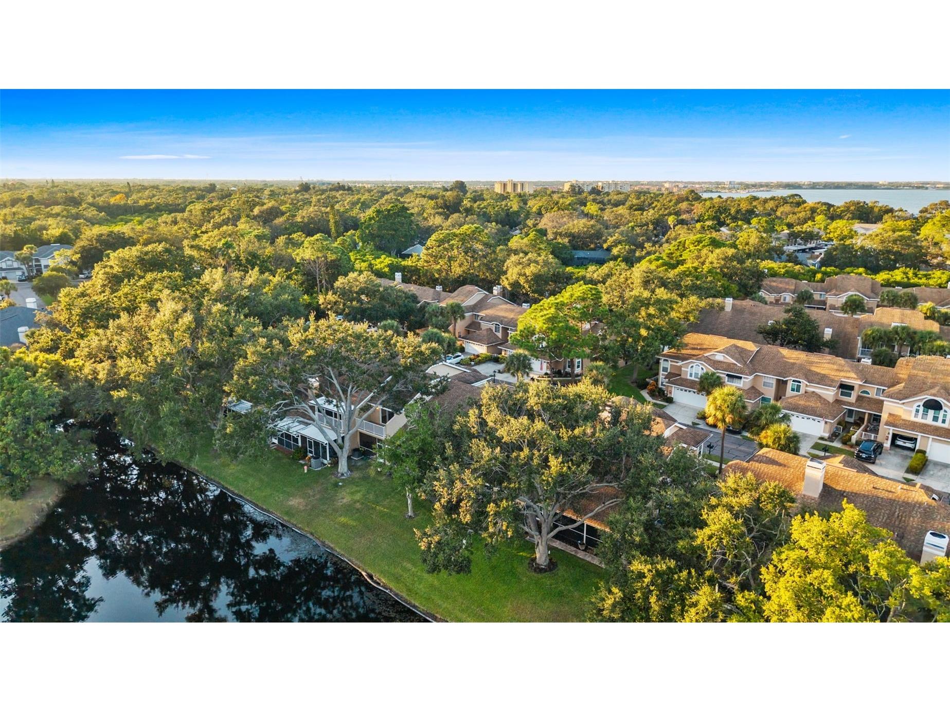 3058 Overlook Place Clearwater FL 33760 TB8447707 image6