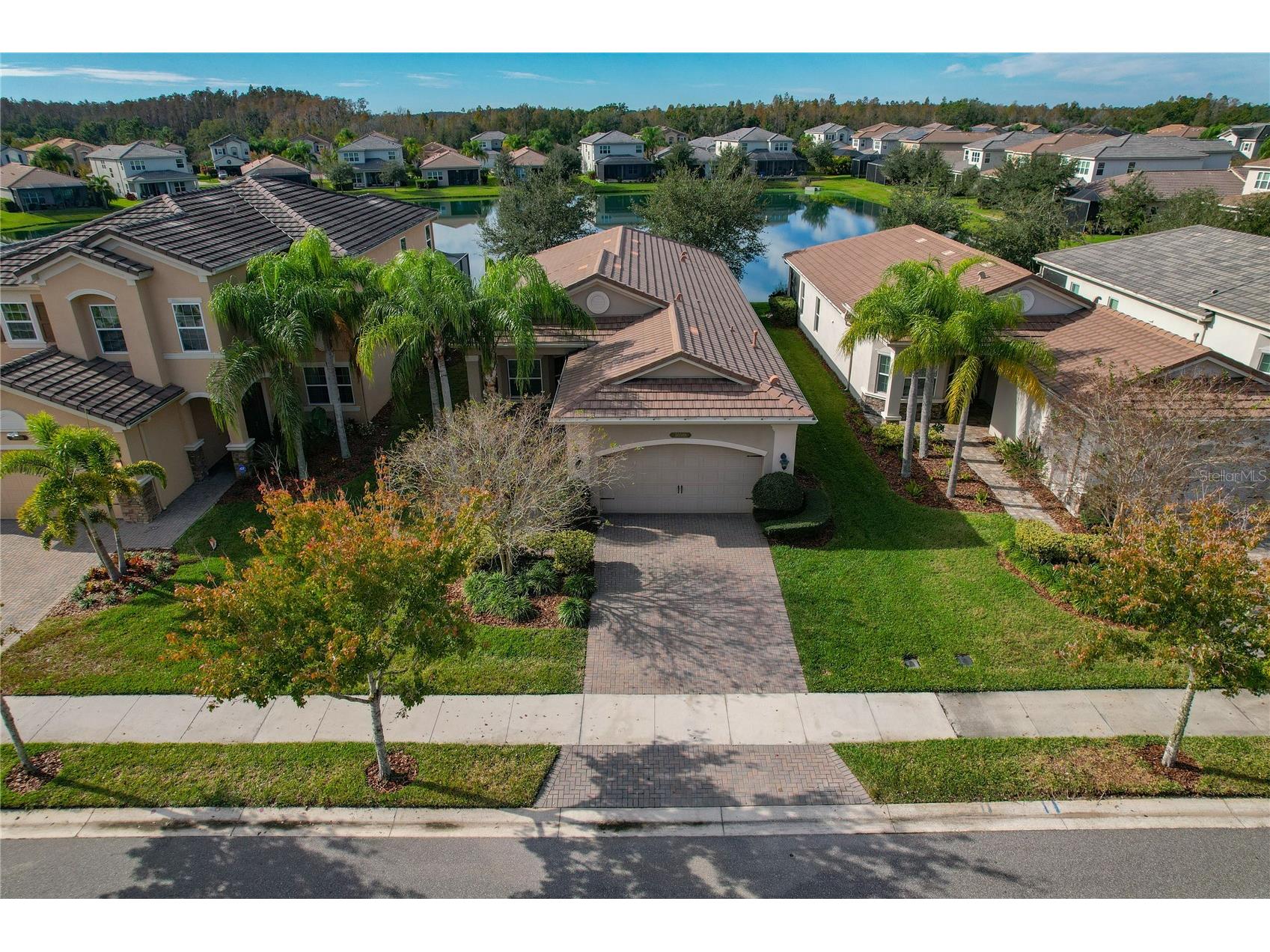 30588 Chesapeake Bay Drive Wesley Chapel FL 33543 TB8491744 image1
