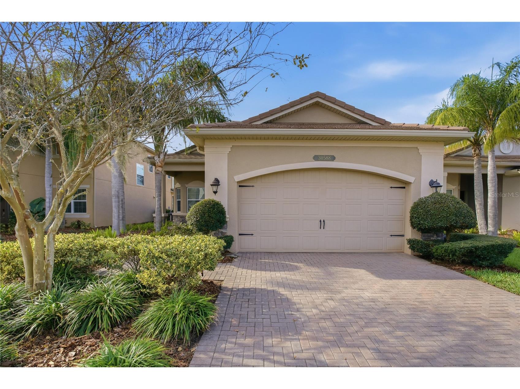 30588 Chesapeake Bay Drive Wesley Chapel FL 33543 TB8491744 image2