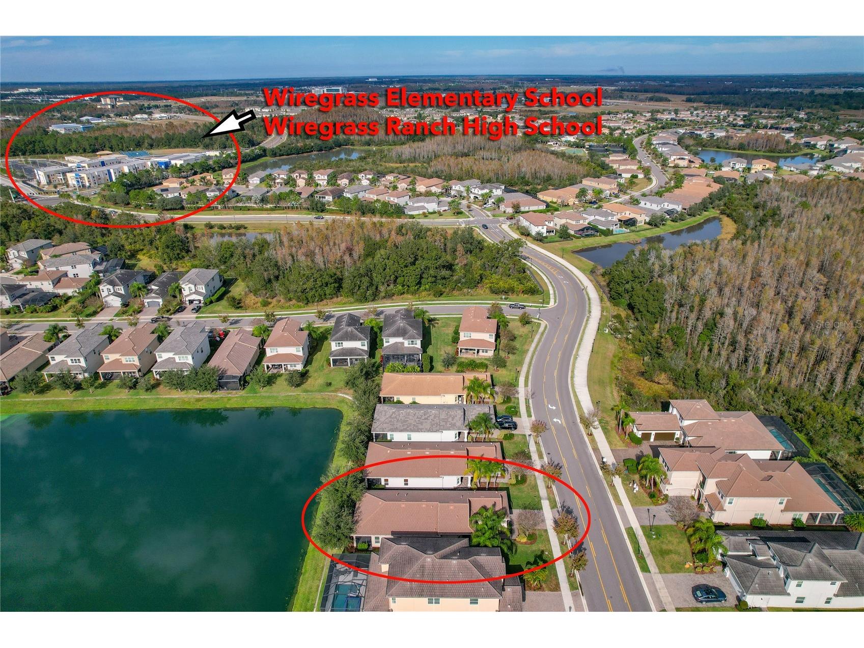 30588 Chesapeake Bay Drive Wesley Chapel FL 33543 TB8491744 image3