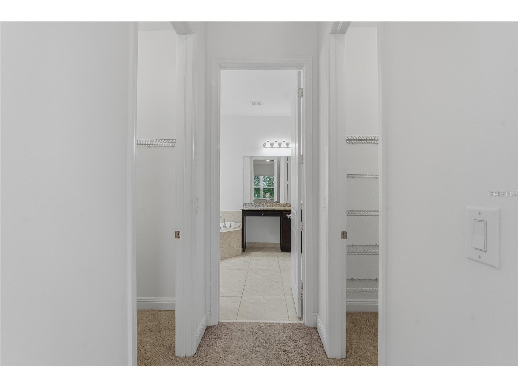 30588 Chesapeake Bay Drive Wesley Chapel FL 33543 TB8491744 image31