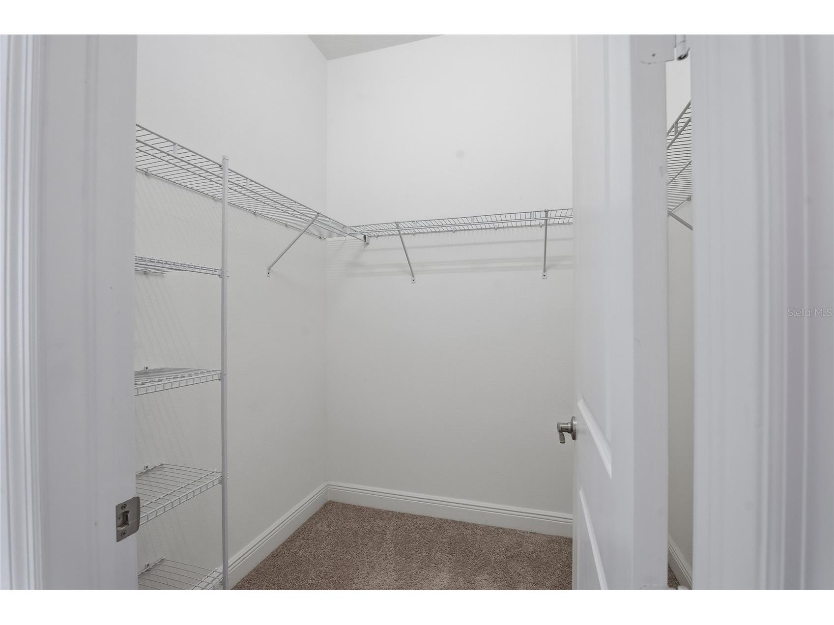 30588 Chesapeake Bay Drive Wesley Chapel FL 33543 TB8491744 image32