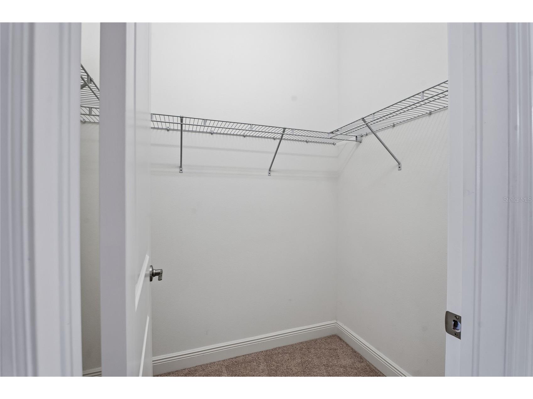 30588 Chesapeake Bay Drive Wesley Chapel FL 33543 TB8491744 image33