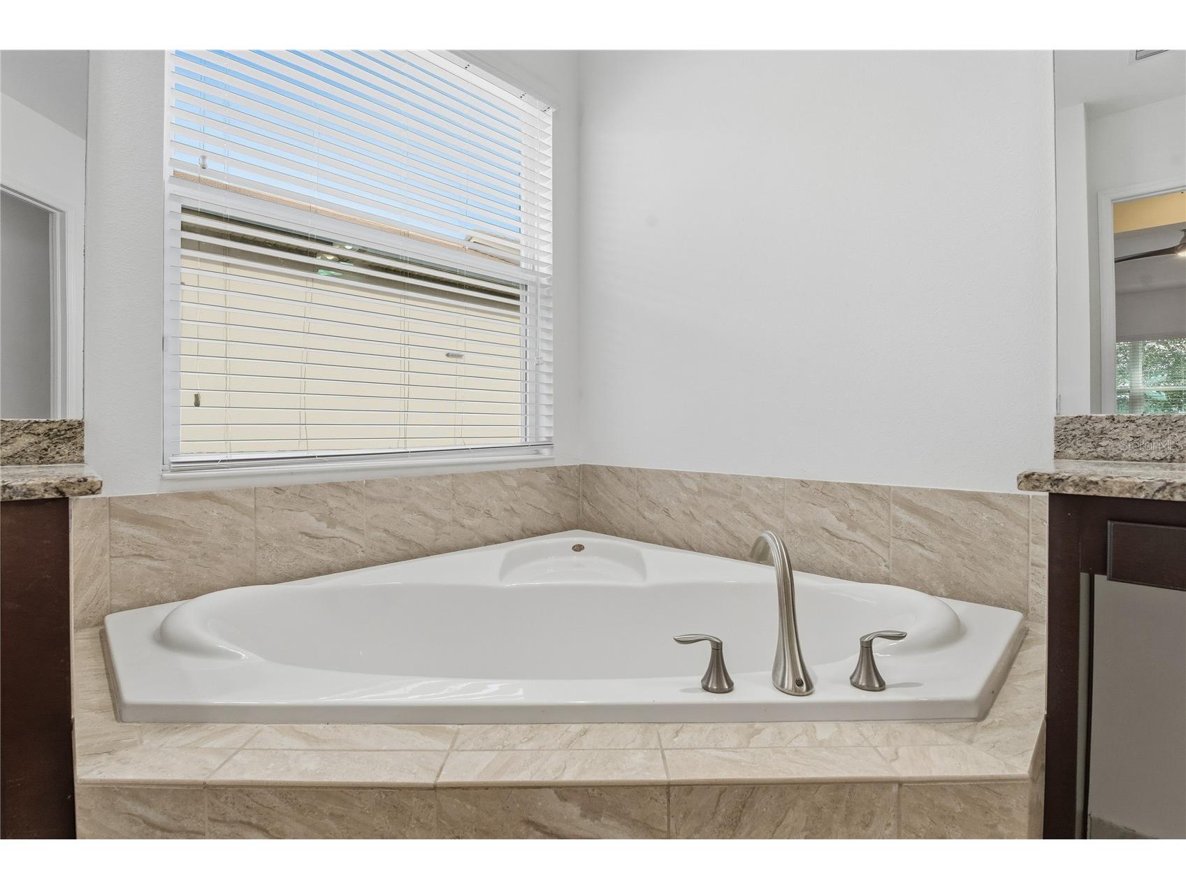 30588 Chesapeake Bay Drive Wesley Chapel FL 33543 TB8491744 image36