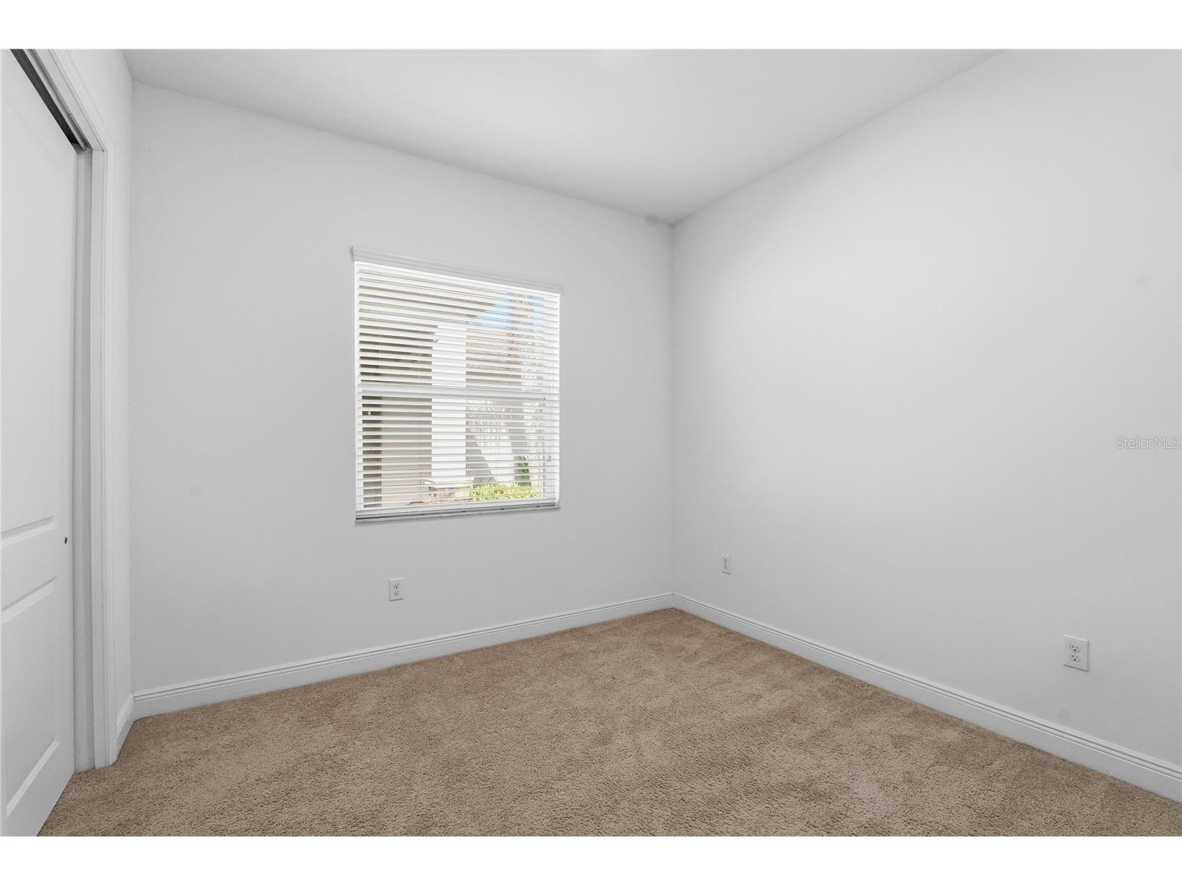 30588 Chesapeake Bay Drive Wesley Chapel FL 33543 TB8491744 image38