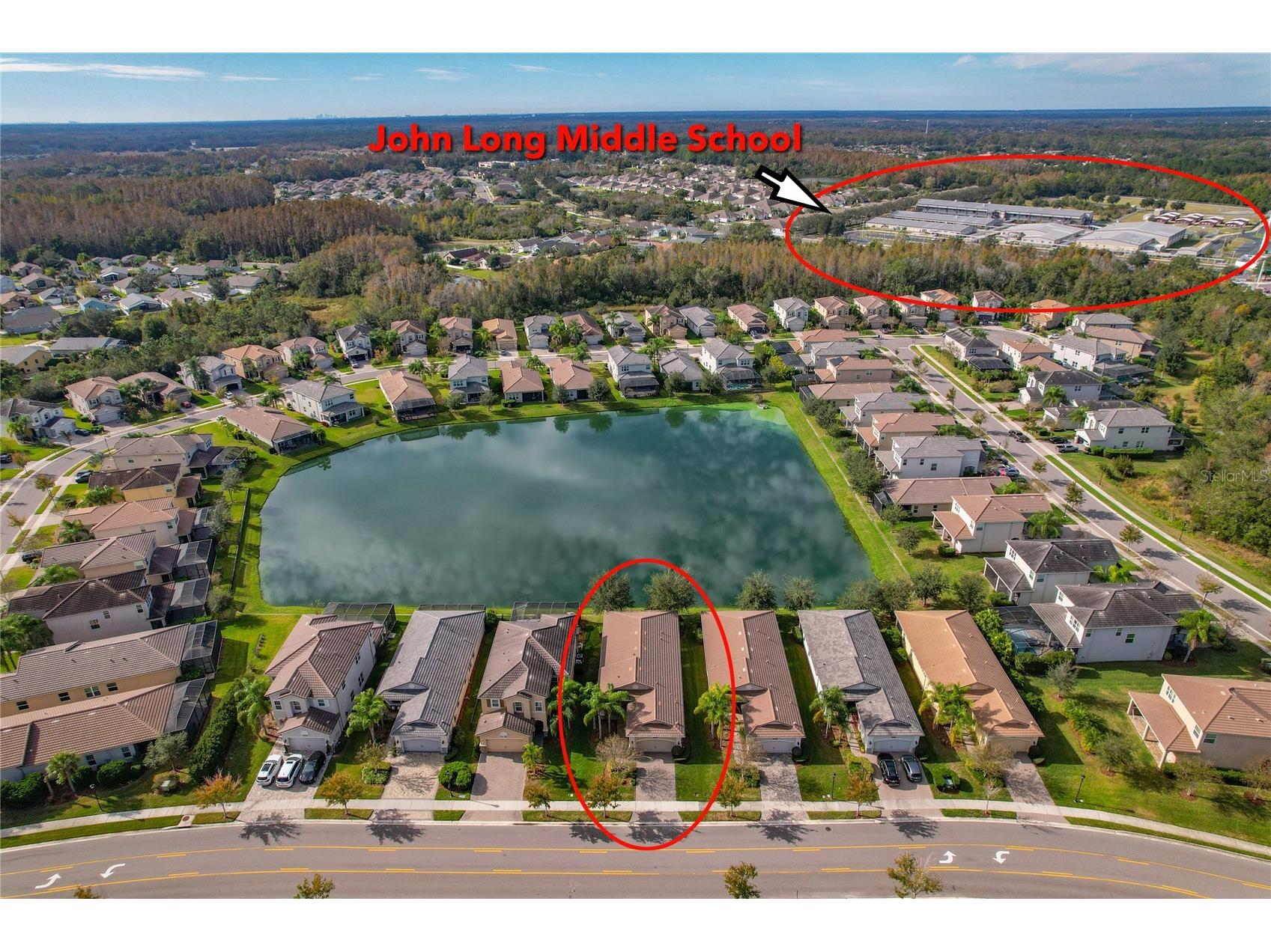 30588 Chesapeake Bay Drive Wesley Chapel FL 33543 TB8491744 image4