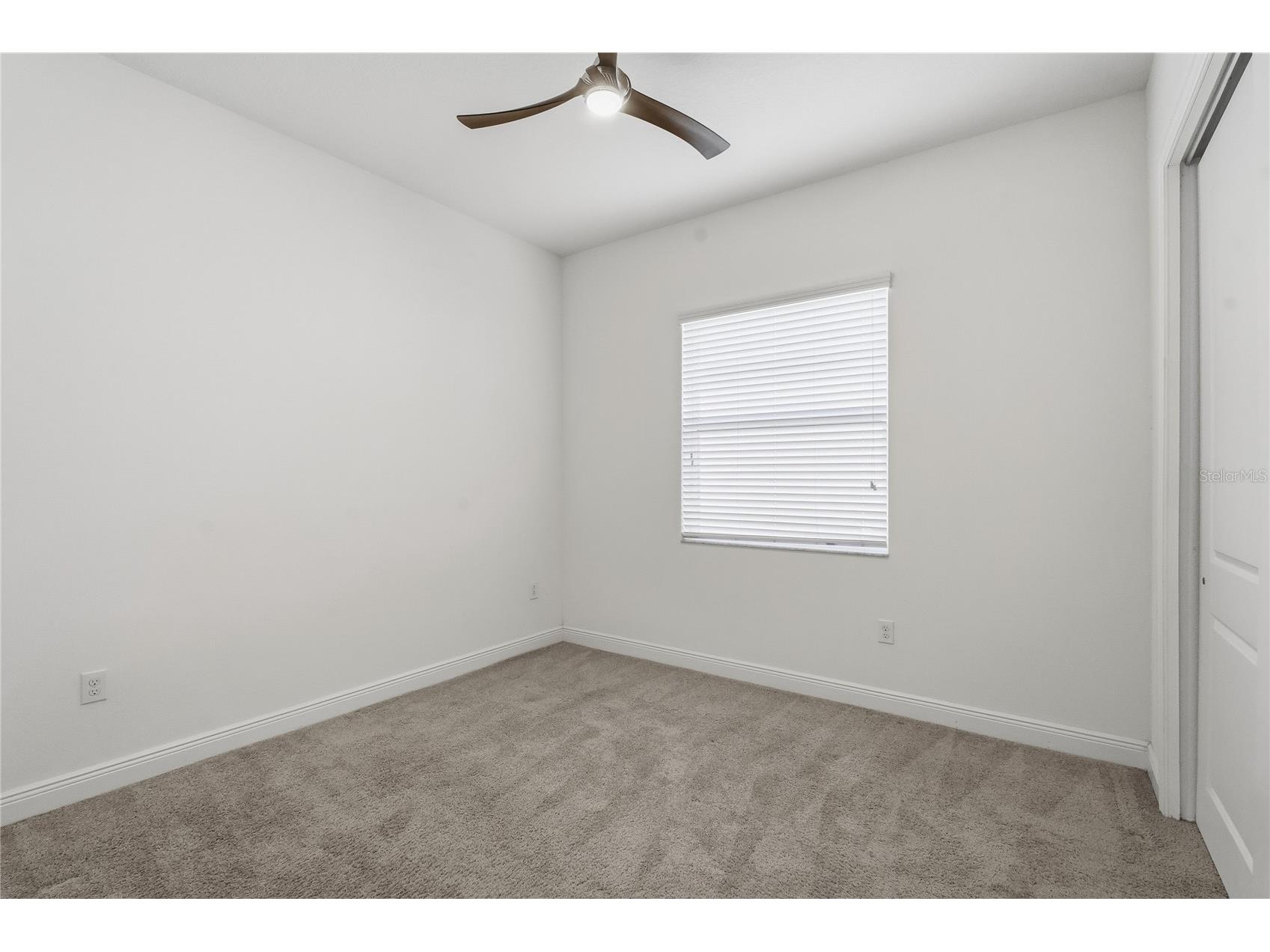 30588 Chesapeake Bay Drive Wesley Chapel FL 33543 TB8491744 image40