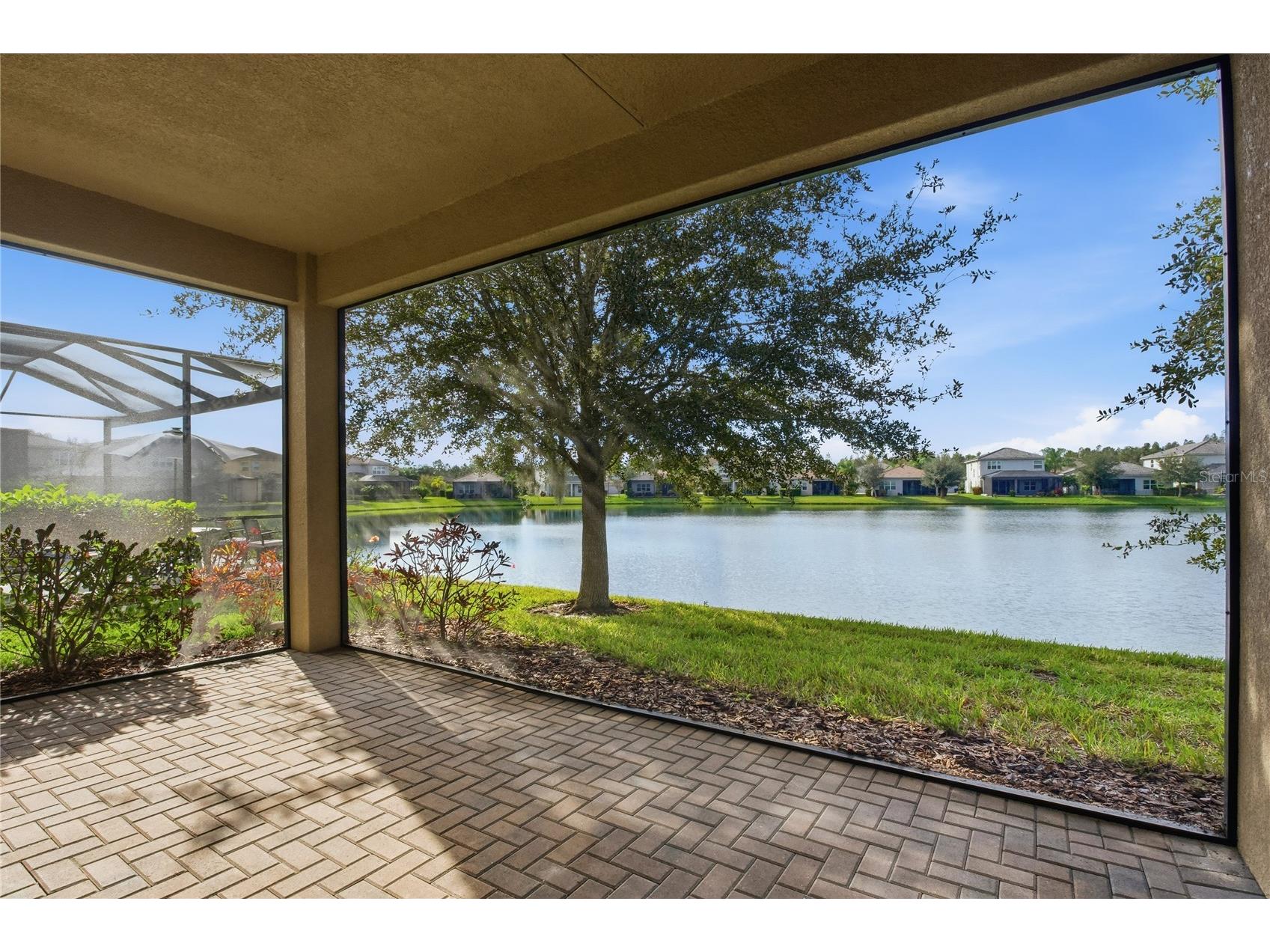 30588 Chesapeake Bay Drive Wesley Chapel FL 33543 TB8491744 image46